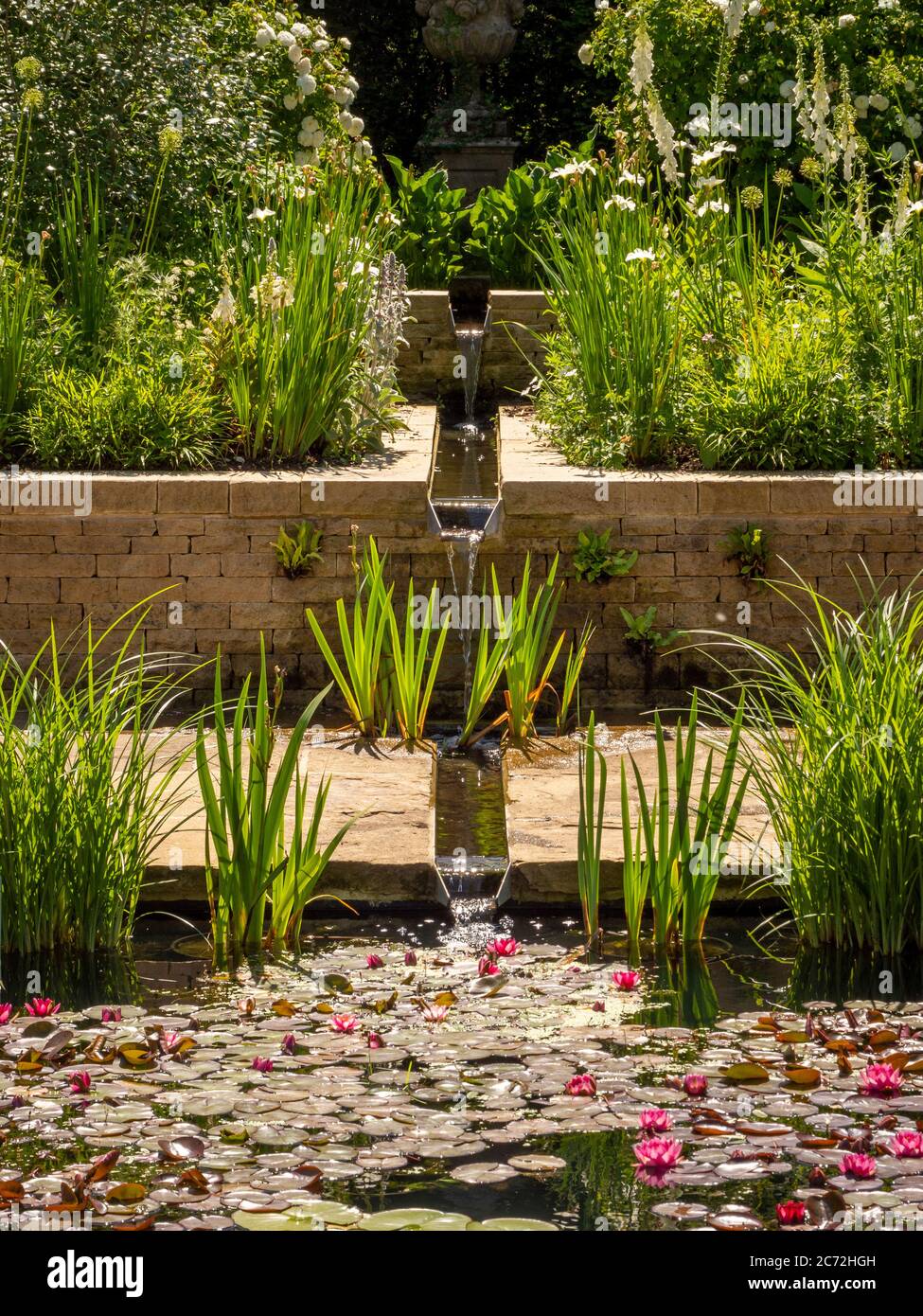 L'aneth coule dans l'étang rectangulaire de nénuphars du jardin édouardien de RHS Harlow Carr. Harrogate, North Yorkshire, Royaume-Uni Banque D'Images