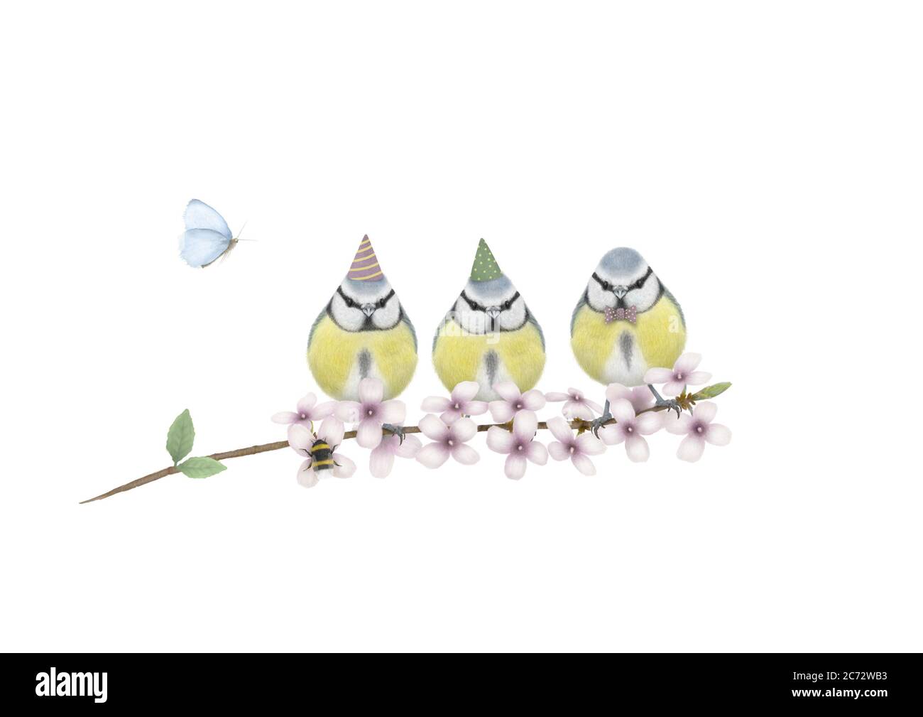 jolie illustration à la main de trois seins bleus avec chapeau de fête d'anniversaire et noeud papillon, sur branche avec fleur rose, bourdon et papillon, isolé sur Banque D'Images