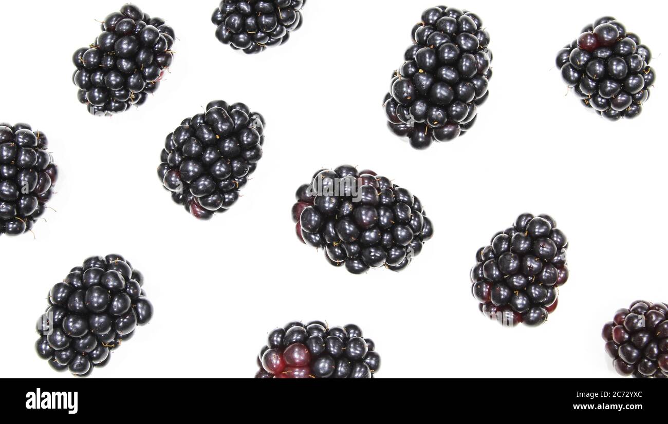 Toile de fond BlackBerry. Plusieurs fruits isolés sur fond blanc Banque D'Images