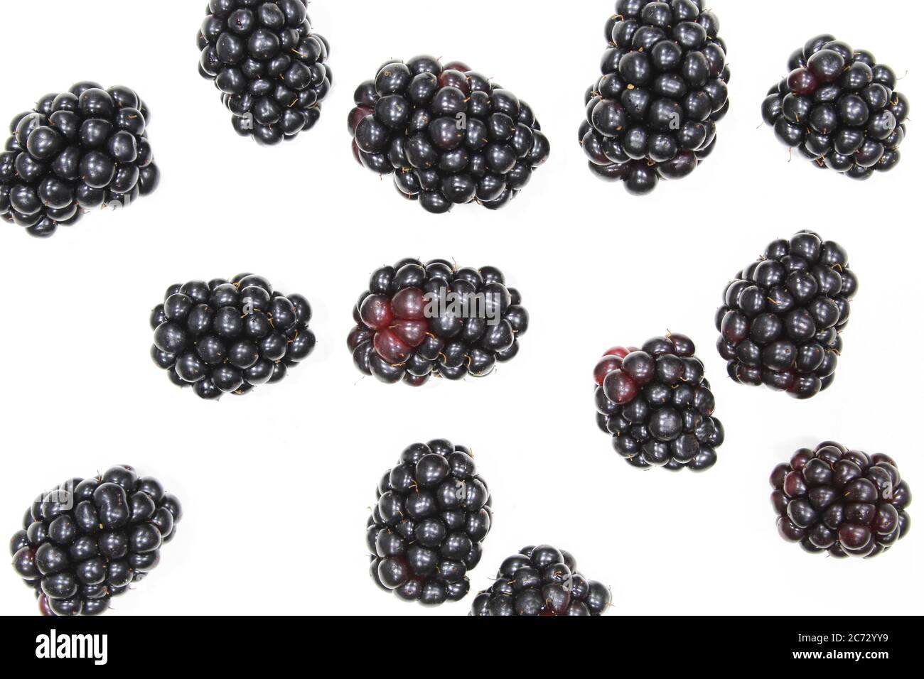Toile de fond BlackBerry. Plusieurs fruits isolés sur fond blanc Banque D'Images