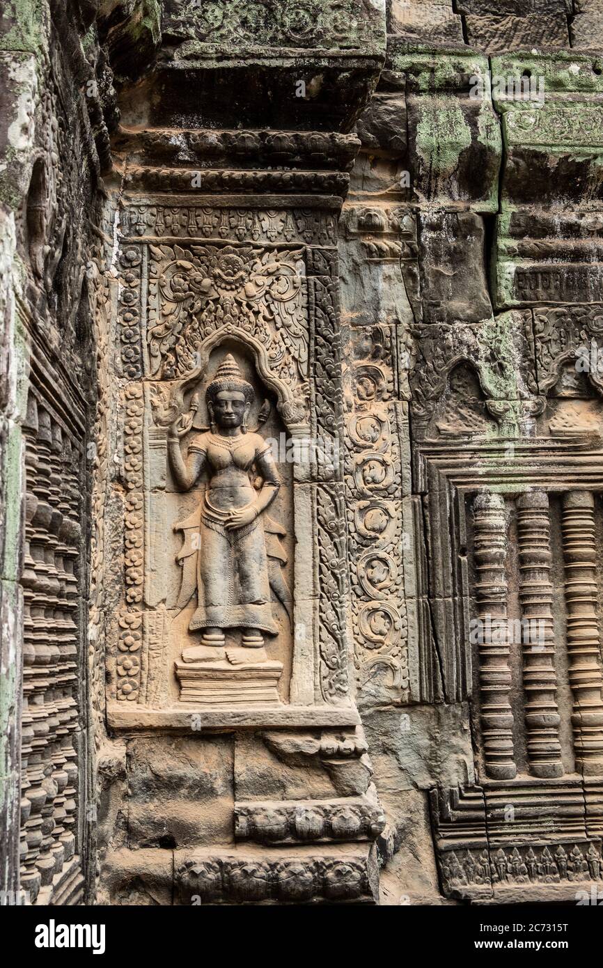 Ta Prohm Temple, Siem Reap, Cambodge Banque D'Images