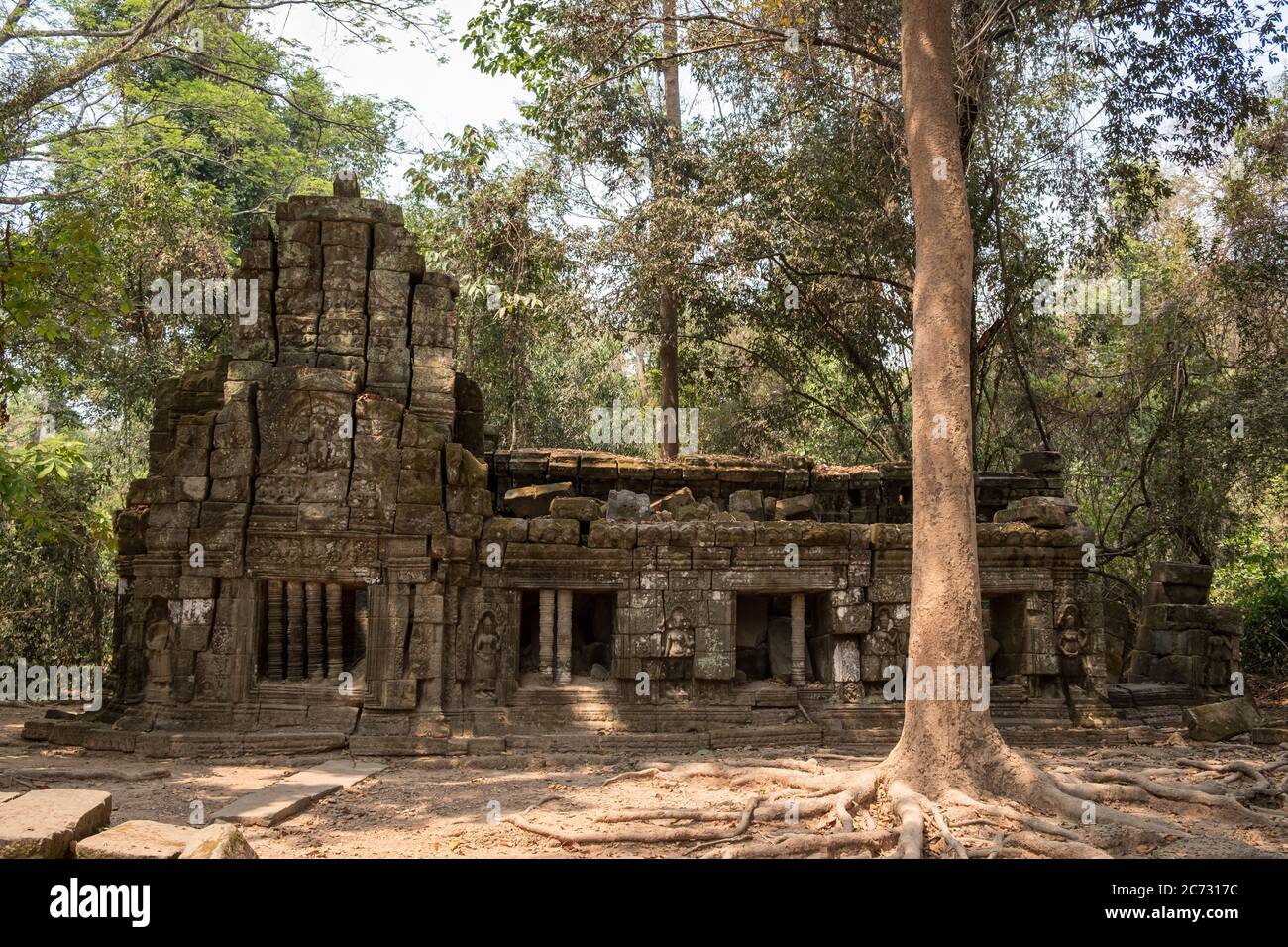 Ta Prohm Temple, Siem Reap, Cambodge Banque D'Images