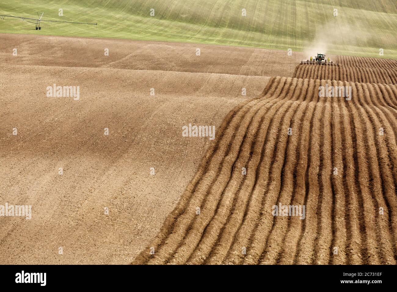 Un tracteur dans un champ de ferme, tirant un outil de labour et de culture, pour labourer et aérer le sol en préparation pour la plantation de pommes de terre de l'Idaho. Banque D'Images