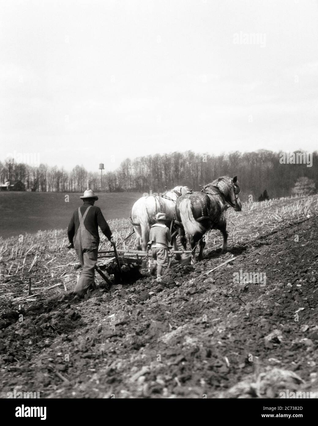 ANNÉES 1920 FERME HOMME GARÇON MARCHANT LE LONG DE CLODS BRISANTS ANONYME FERMIER RURAL PÈRE LABOURING SIMPLE AVEC DEUX CHEVAUX MARYLAND USA - F2199 HAR001 HARS JEUNES CHEVAUX STYLE TRAVAIL D'ÉQUIPE FILS JOIE STYLE VIE VIE RURALE VIE MAISON ÉTATS-UNIS COPIE ESPACE AMITIÉ PLEINE LONGUEUR PERSONNES INSPIRATION ÉTATS-UNIS D'AMÉRIQUE AGRICULTURE MÂLES PÈRES LEADING AGRICULTURE B&W MORNING AMÉRIQUE DU NORD BUTS LES MAMMIFÈRES BRISANTS DE L'AMÉRIQUE DU NORD GRAND ANGLE TÔT ET LE LONG DE DADS EXTÉRIEUR AGRICULTEURS LABOUR FIERTÉ COMMENCENT À VUE ARRIÈRE OCCUPATIONS CONNEXION DE DERRIÈRE LE PROJET ANONYME RAIL DIVISÉ VUE ARRIÈRE JUVÉNILES EXPLOITÉS Banque D'Images