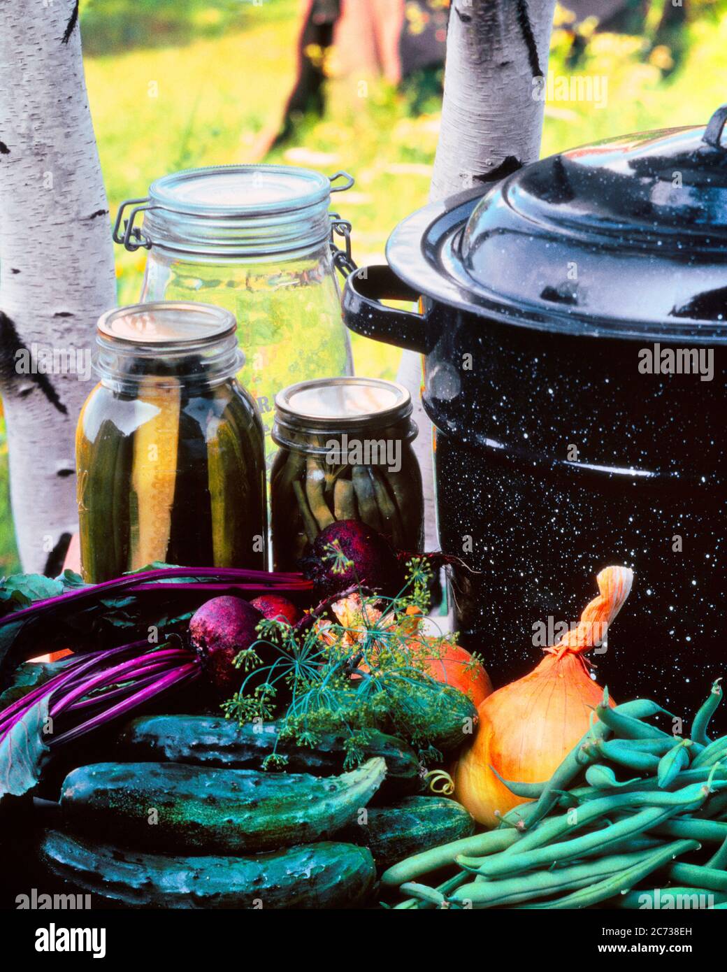 ANNÉES 1980 NOURRITURE CONSERVE ENCORE VIE LÉGUMES BETTERAVES OIGNONS HARICOTS MANGE CONCOMBRES ÉPICES ÉMAIL NOIR CHAUDIÈRE POT VERRE POTS CONSERVATION - KF20800 PHT001 HARS OIGNONS Banque D'Images