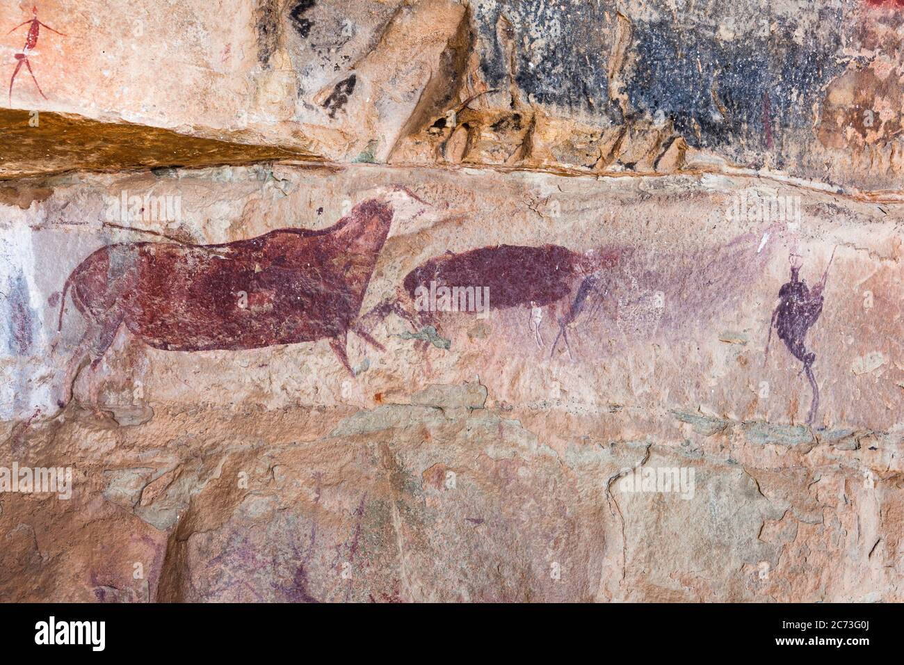 L'art rupestre en Afrique du Sud, mystérieuses images du Drakensberg. main image 0