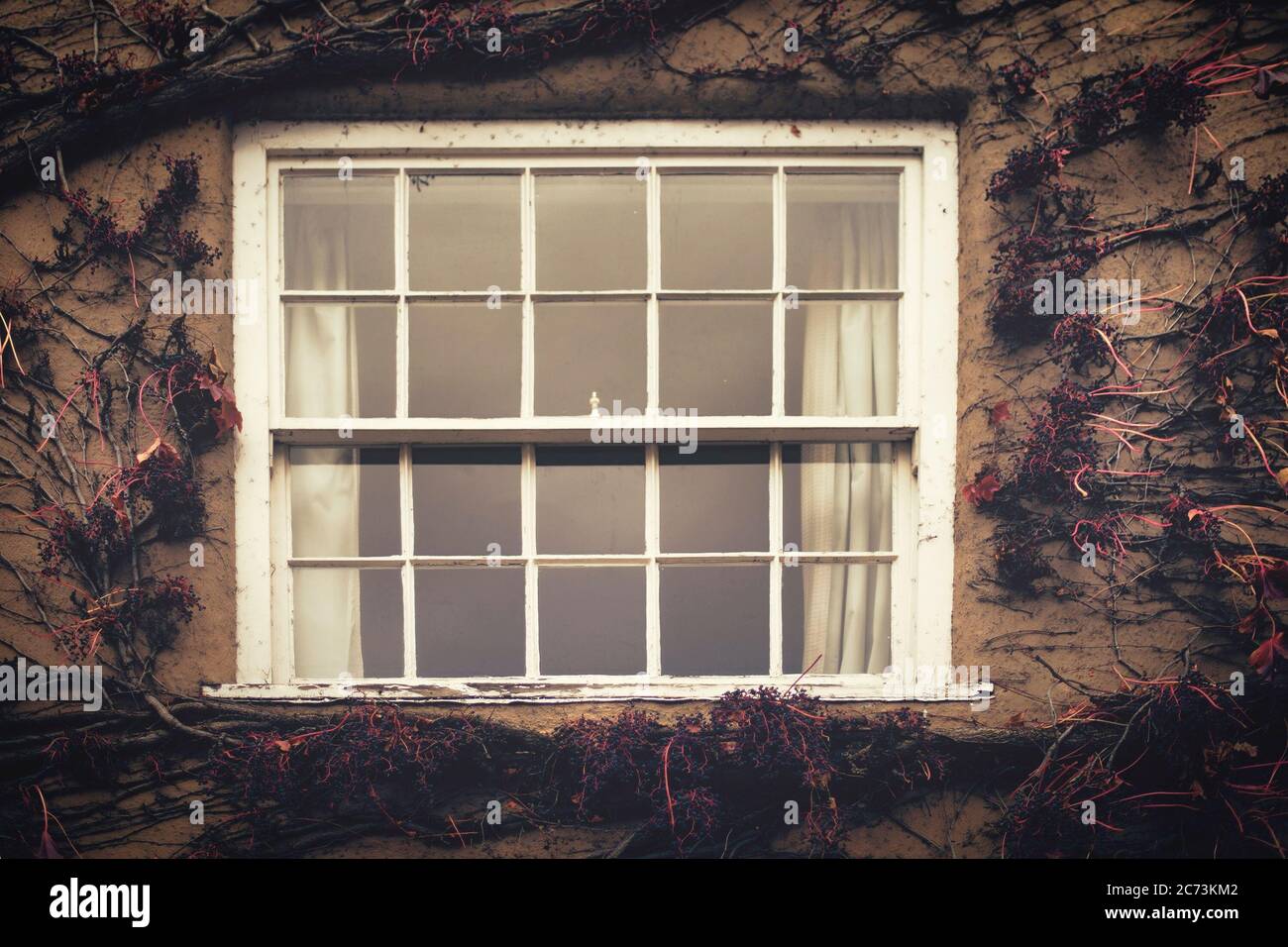 Façade de maison avec porte en bois bleue recouverte de baies sauvages et de vignes rouges. Banque D'Images