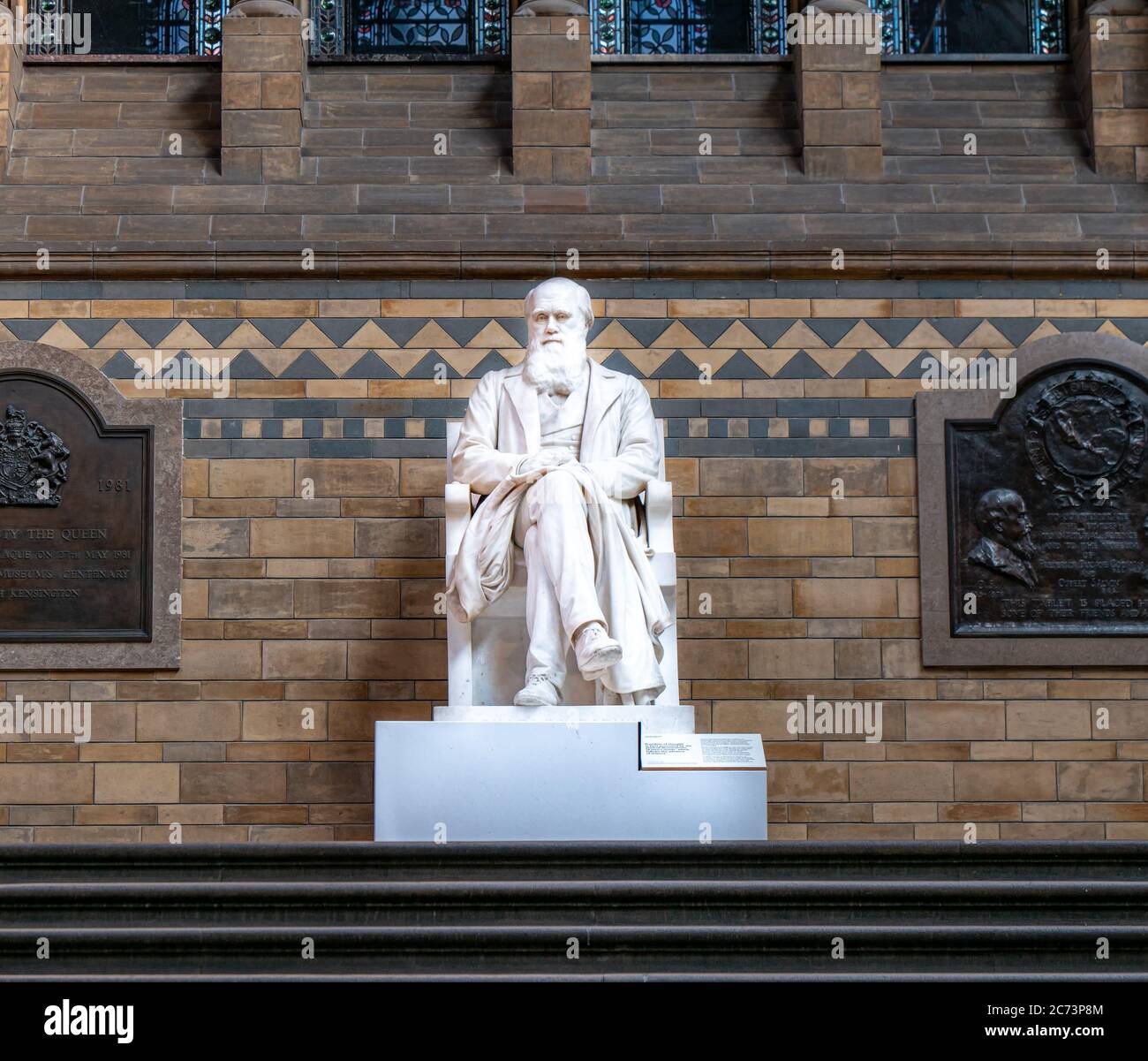 Londres, Royaume-Uni. Vers Décembre 2019. Statue de Charles Darwin, père de la théorie de l'évolution des espèces, située dans l'Histoire naturelle Banque D'Images