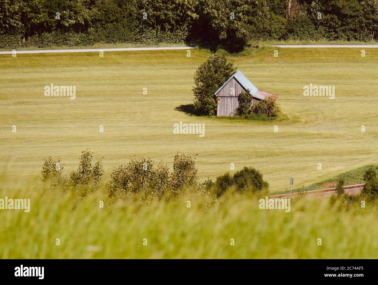 une cabane et des buissons verts dans un pré Banque D'Images