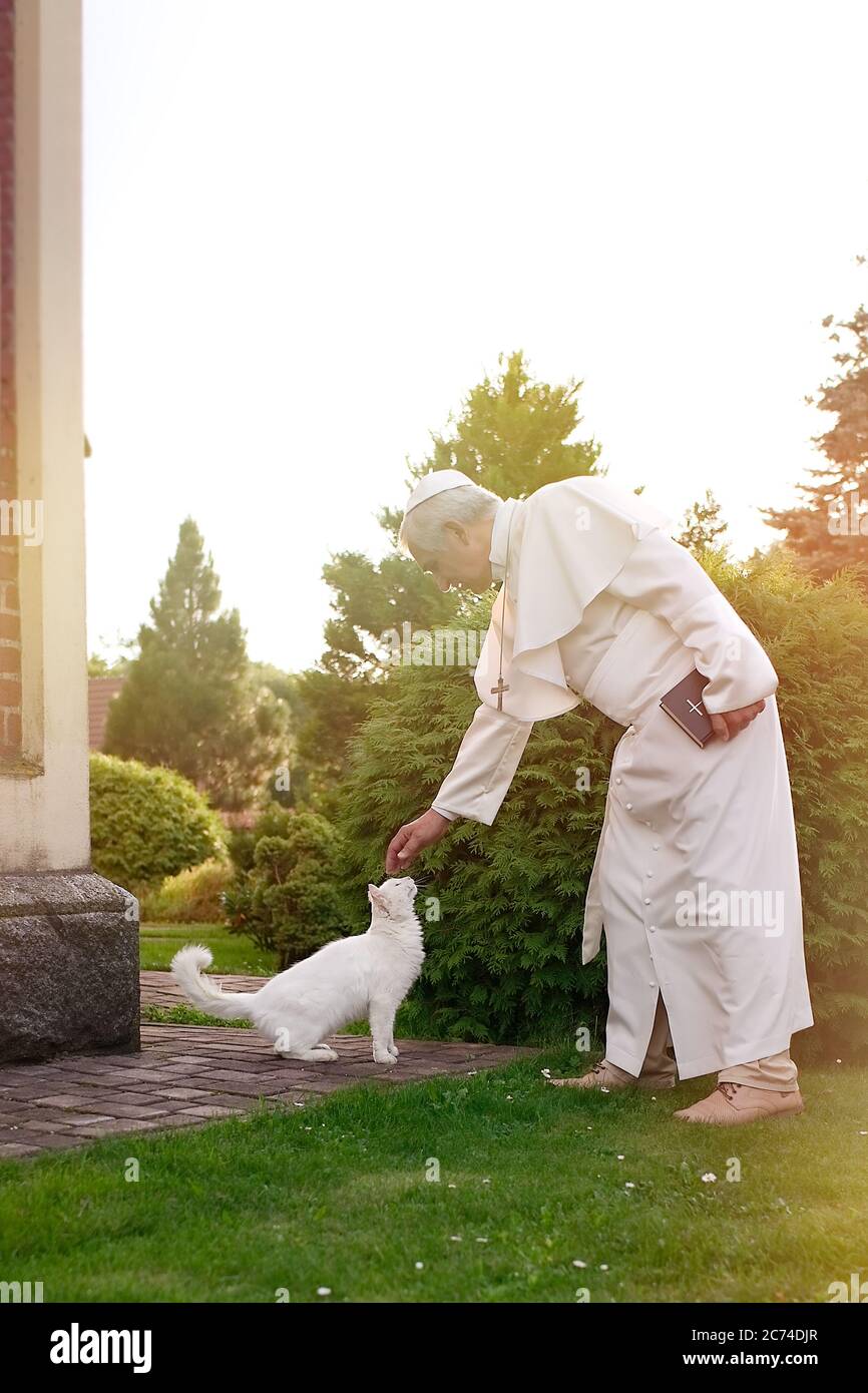 Pape qui a caressé un chat blanc Banque D'Images