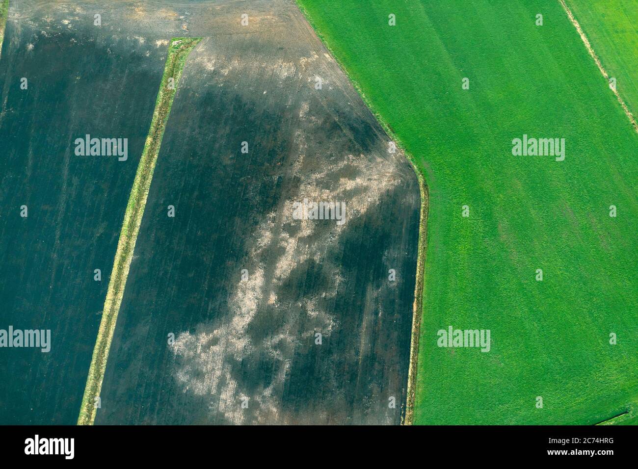 Superficie et groenland avec sol boggy et fossés de drainage, 04/27/2020, vue aérienne, Allemagne, Schleswig-Holstein Banque D'Images