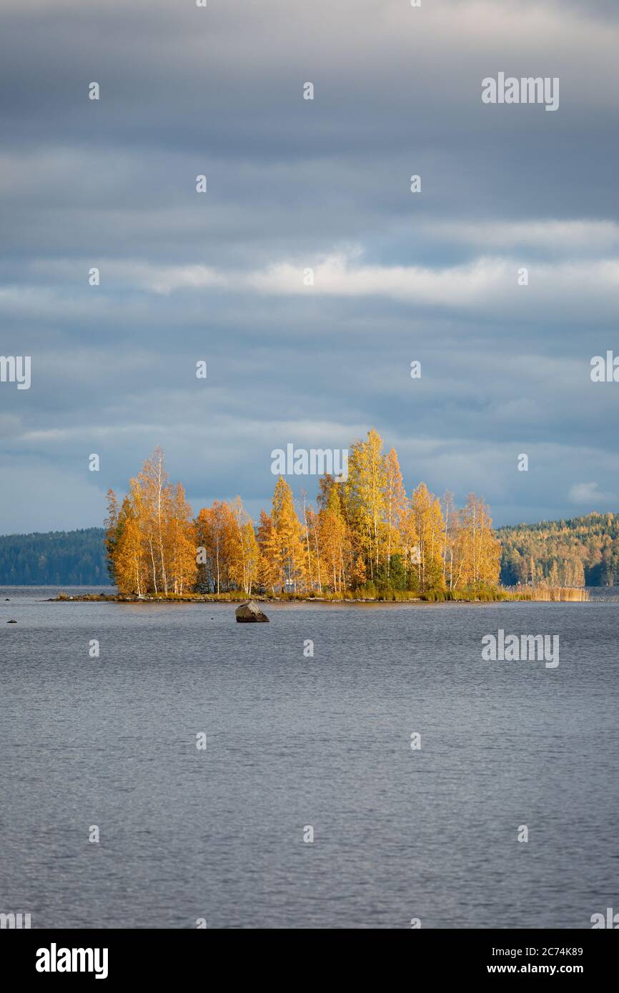 Automne couleur arbres et paysage de lac en Finlande Banque D'Images