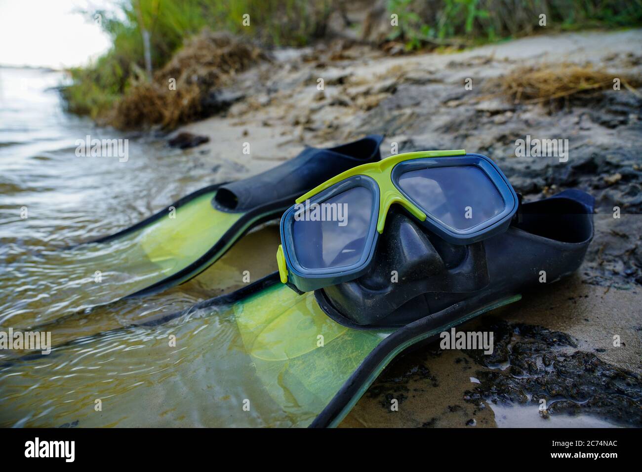 les palmes et le masque se trouvent sur le rivage Banque D'Images