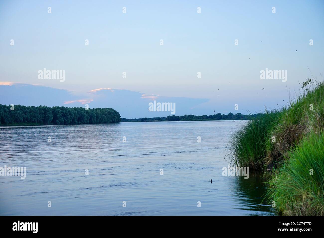 coucher de soleil d'été sur les rives d'une grande rivière Banque D'Images