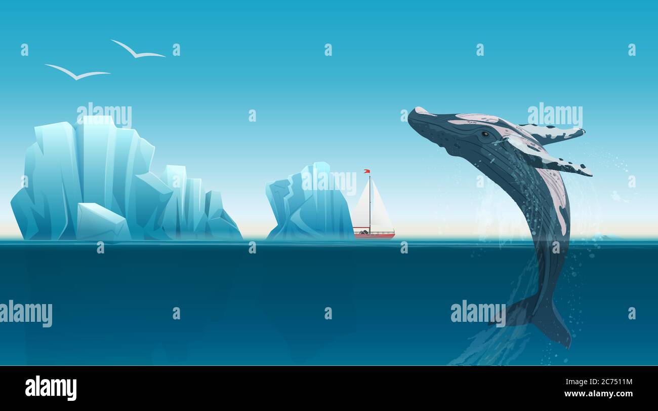 Modèle de carte avec baleine sautant sous la surface bleue de l'océan près des icebergs. Illustration du vecteur arctique de l'hiver Illustration de Vecteur