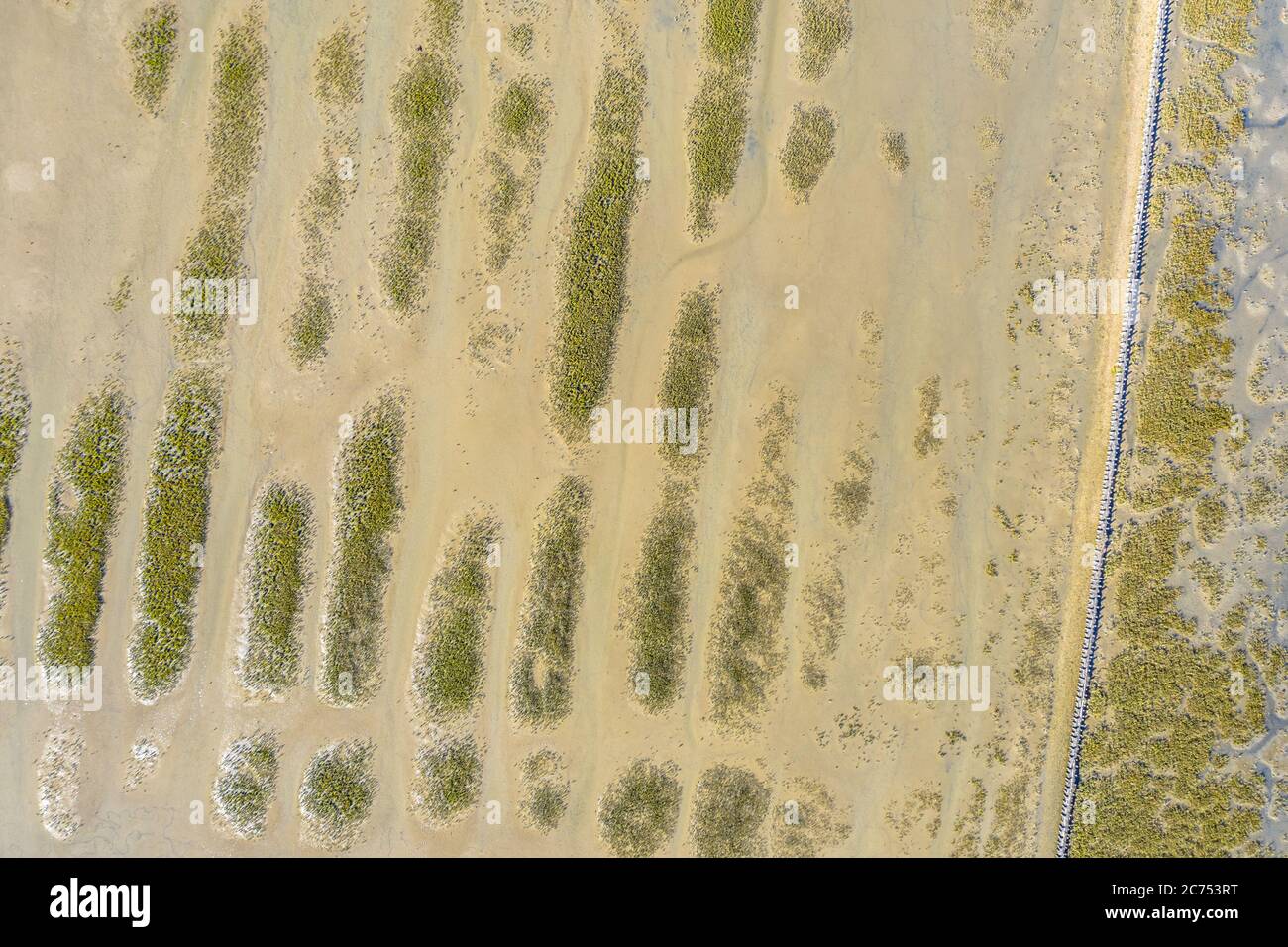 Vue de haut en bas du marais de Tidal dans le parc national et de la zone du patrimoine mondial de l'UNESCO de Waddensea dans la province de Groningen. Pays-Bas Banque D'Images