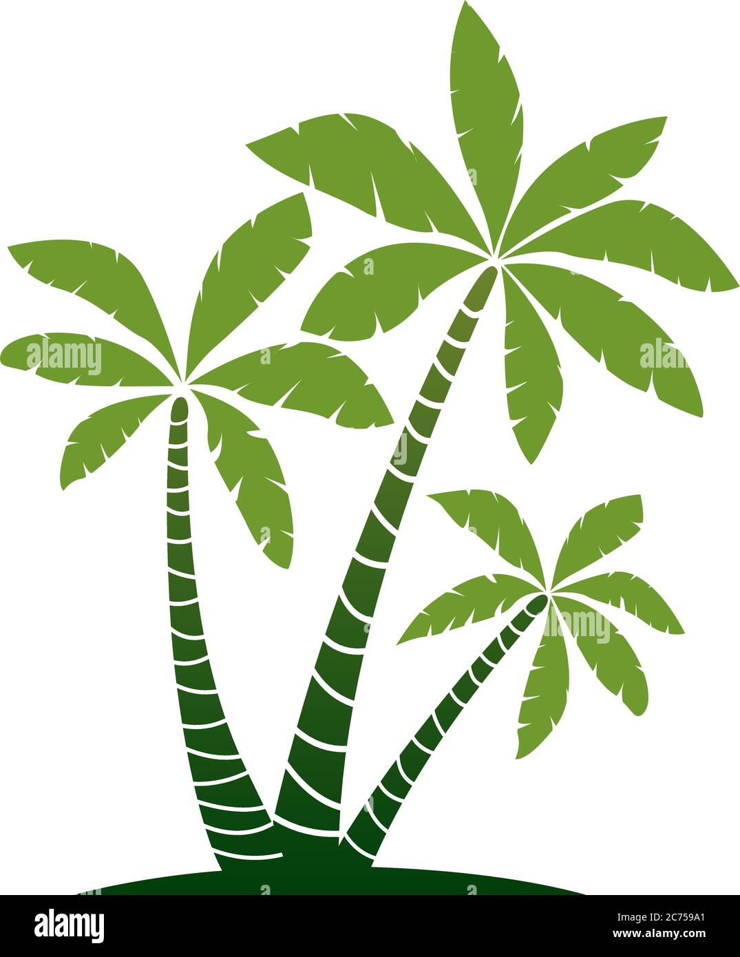 Palmiers verts, illustration vectorielle de silhouette, isolés sur fond blanc. Graphique vectoriel. Simplement pictogramme. Élément floral. Illustration de Vecteur