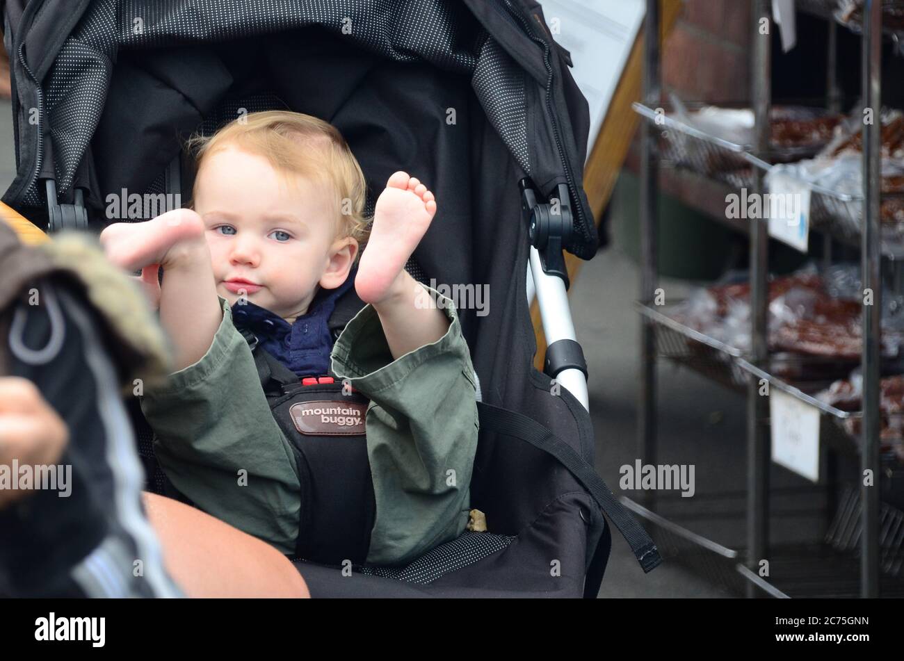 Un Adorable Kiwi Dans Une Poussette Pour Bebe Au Marche De Motueka Photo Stock Alamy