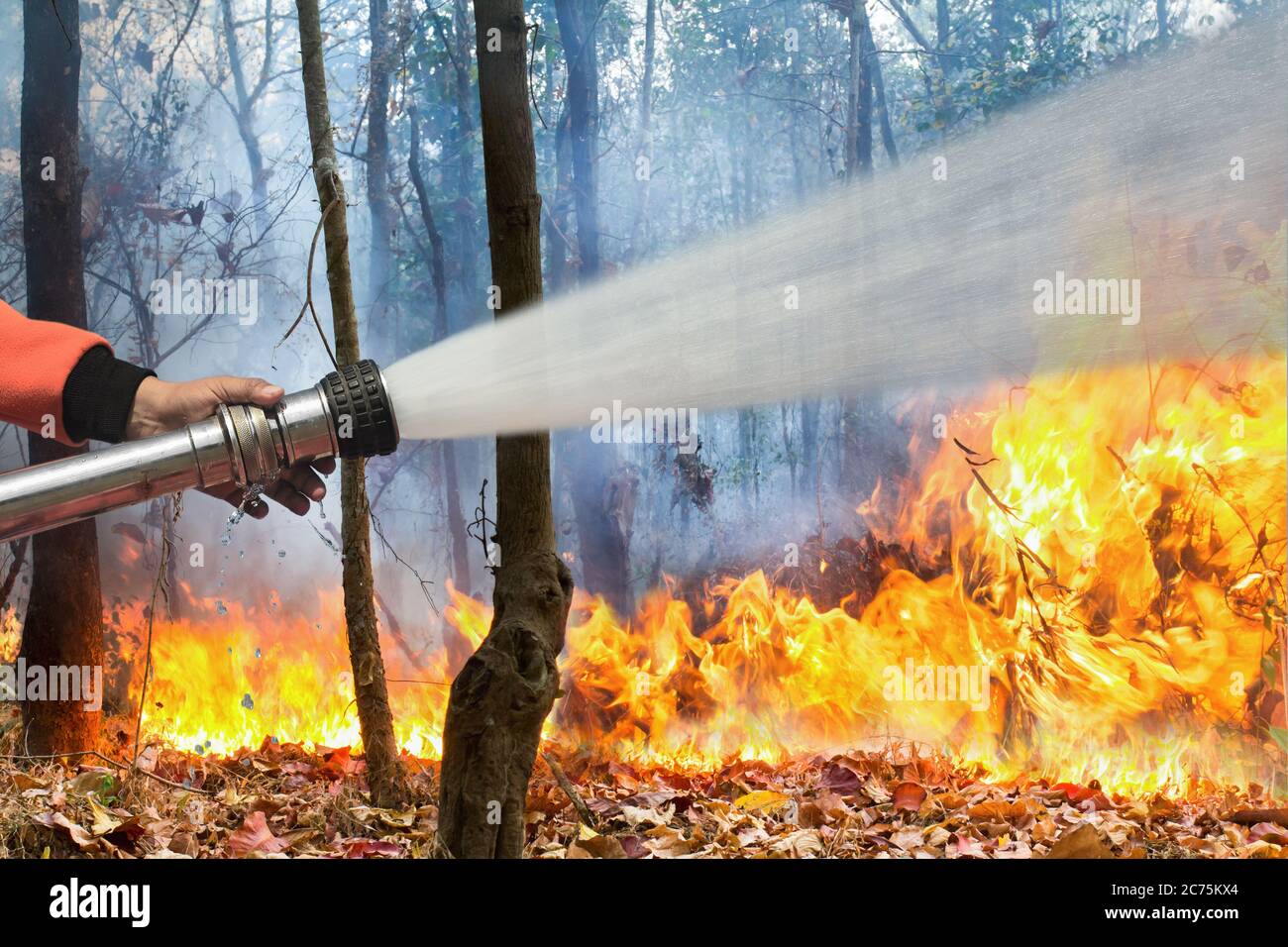 Pulvériser de l'eau les pompiers aux feux de forêt Banque D'Images