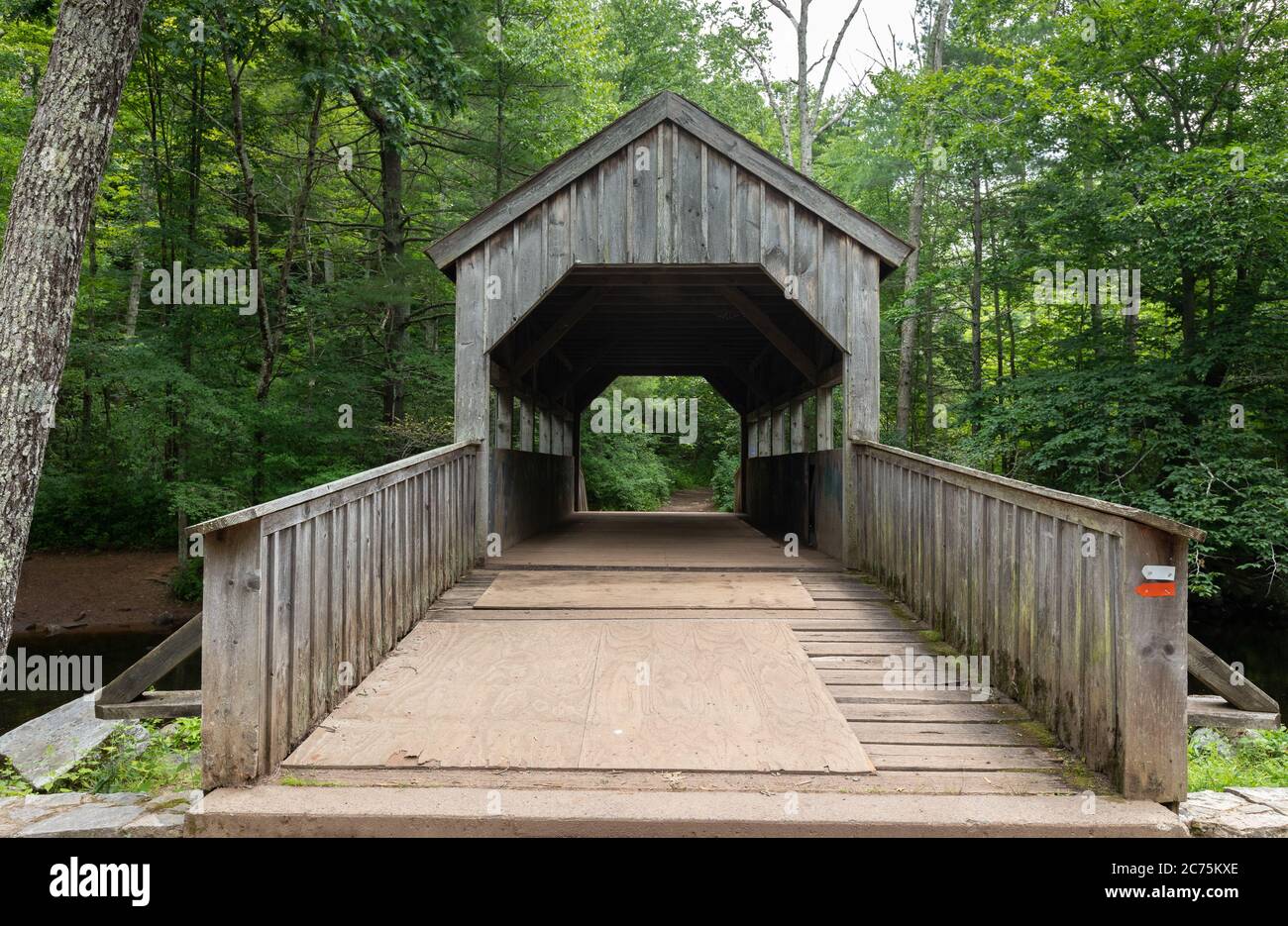 Pont couvert en bois sur une petite rivière dans une forêt luxuriante et verdoyante au parc national Devil's Hopyard, Connecticut Banque D'Images