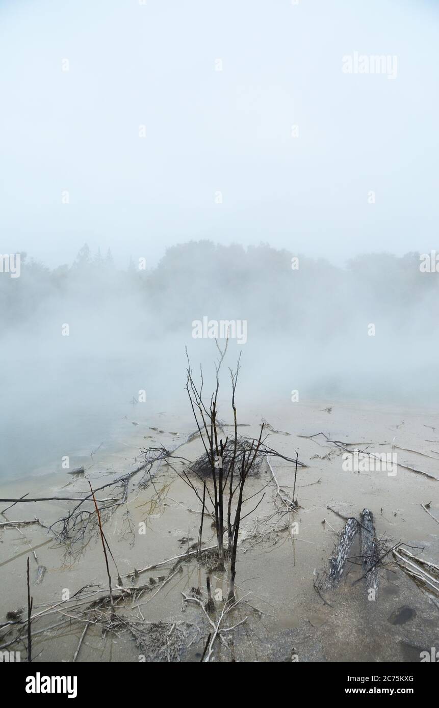 Rotorua, une ville située sur son lac de nom sur l'île du Nord de la Nouvelle-Zélande, est réputée pour son activité géothermique et sa culture maorie. Banque D'Images