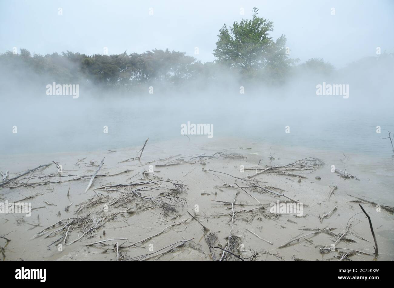 Rotorua, une ville située sur son lac de nom sur l'île du Nord de la Nouvelle-Zélande, est réputée pour son activité géothermique et sa culture maorie. Banque D'Images