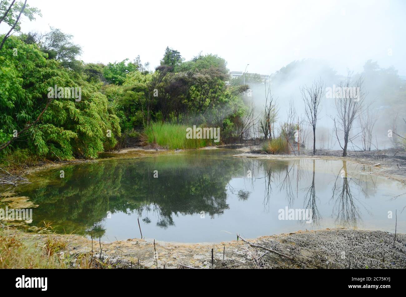 Rotorua, une ville située sur son lac de nom sur l'île du Nord de la Nouvelle-Zélande, est réputée pour son activité géothermique et sa culture maorie. Banque D'Images