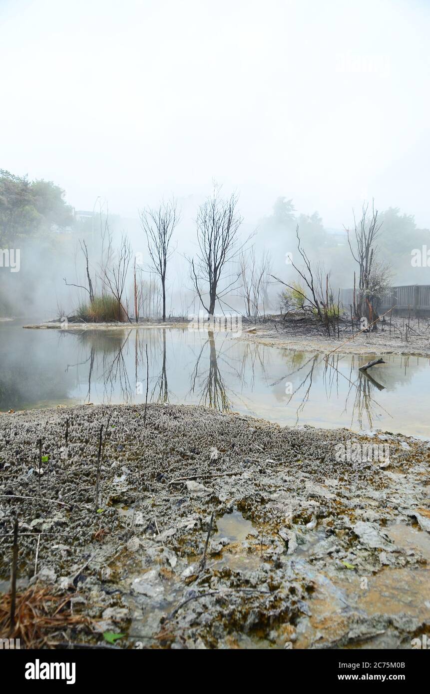 Rotorua, une ville située sur son lac de nom sur l'île du Nord de la Nouvelle-Zélande, est réputée pour son activité géothermique et sa culture maorie. Banque D'Images