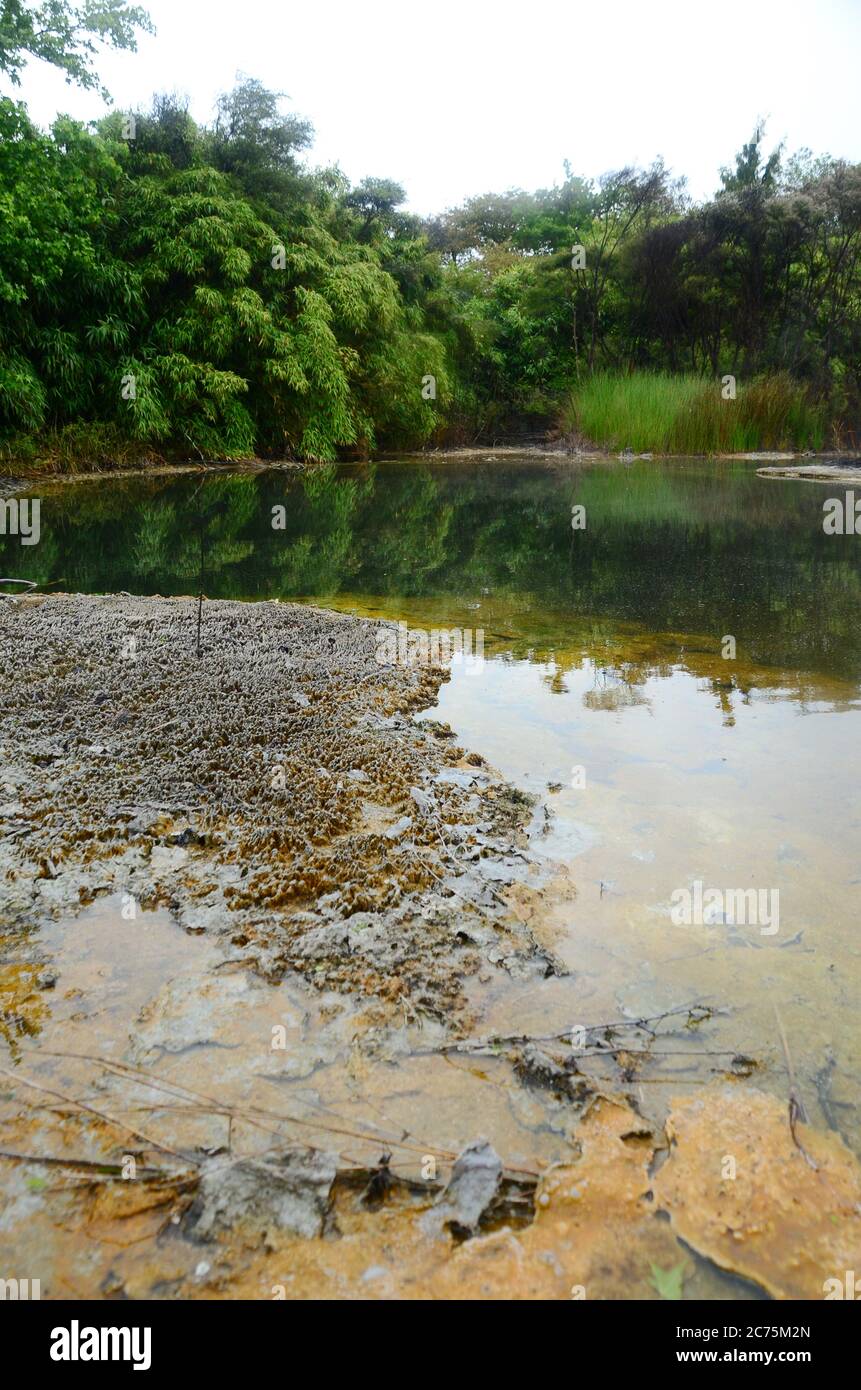 Rotorua, une ville située sur son lac de nom sur l'île du Nord de la Nouvelle-Zélande, est réputée pour son activité géothermique et sa culture maorie. Banque D'Images
