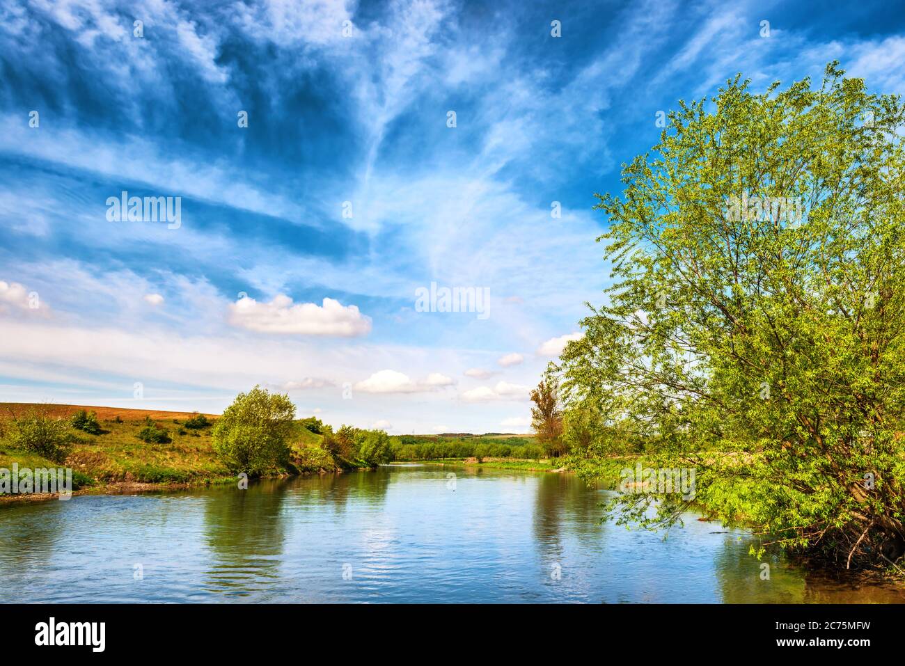Vue sur les rives de la rivière avec des arbres verts et ciel bleu nuageux Banque D'Images