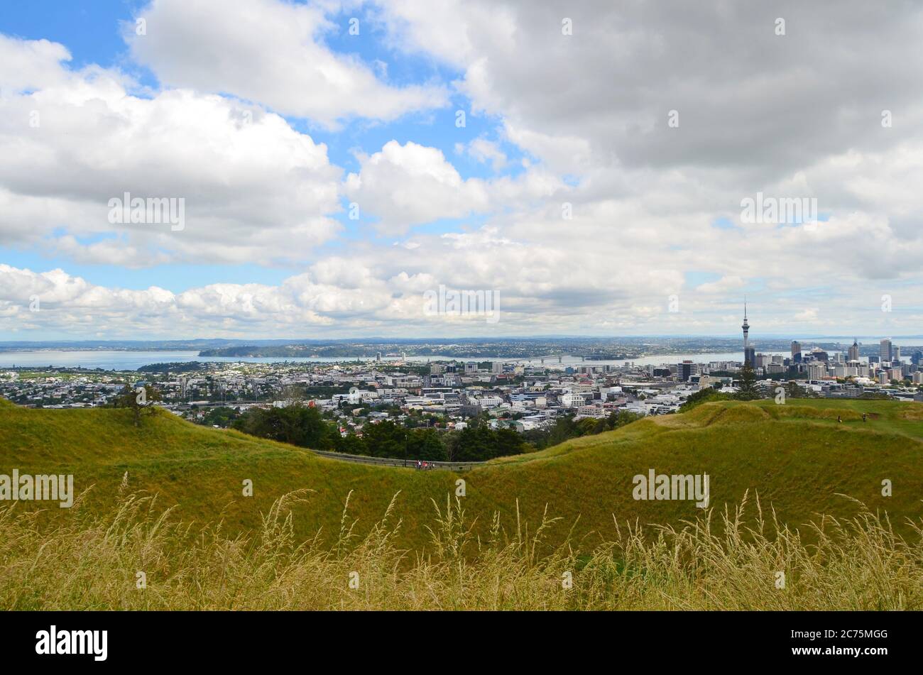 Le Mont Eden, un quartier résidentiel prospère, est dominé par un pic volcanique de Maungawhau, avec des sentiers de randonnée et de jogging menant à une vue sur la ville d'auckland. Banque D'Images