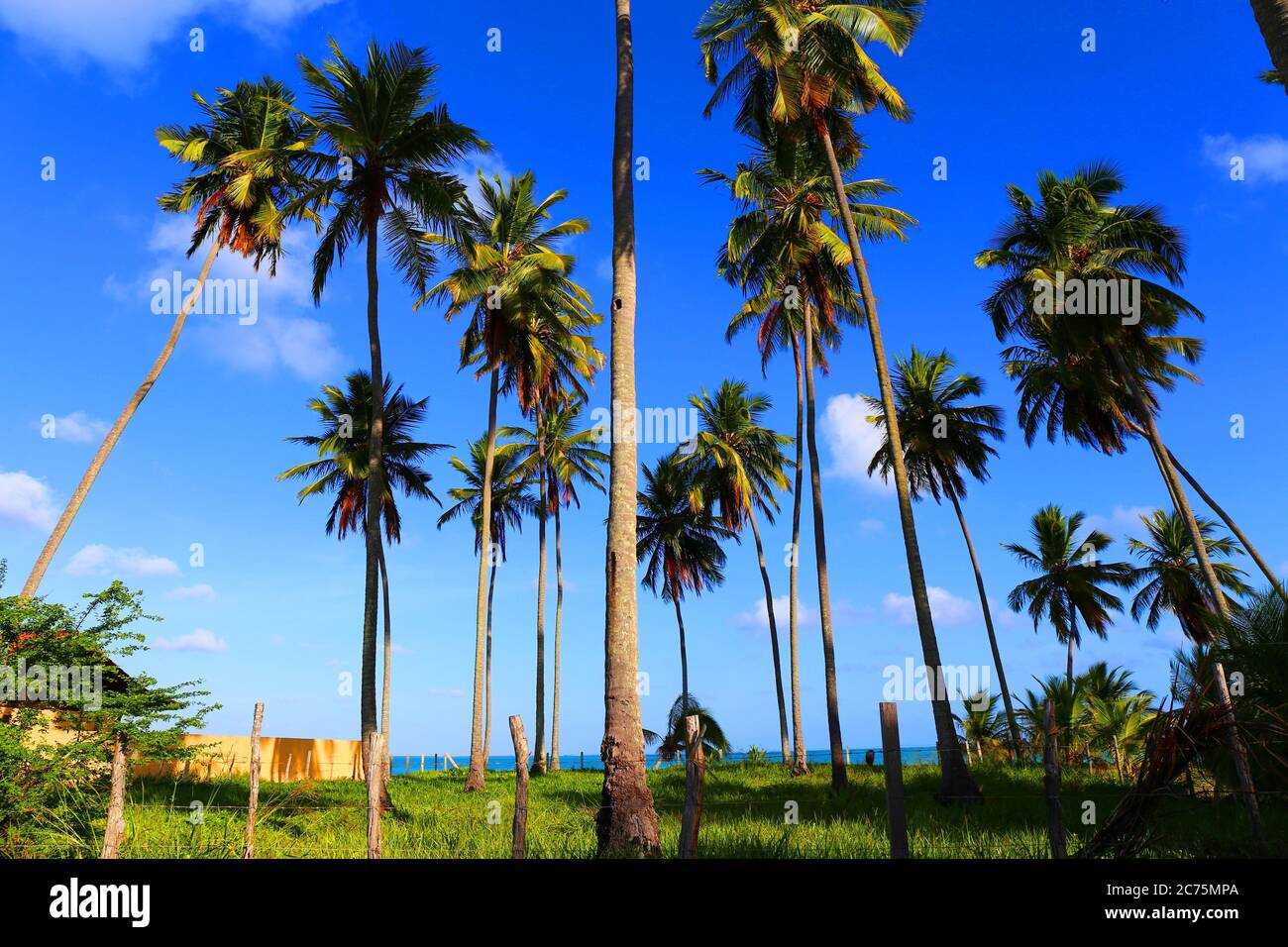 Magnifique village côtier de Maragogi, Pernambuco, Brésil Banque D'Images