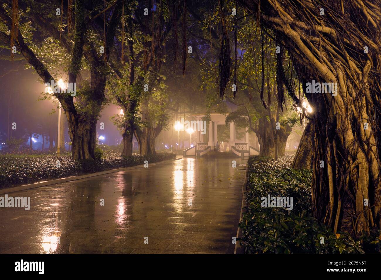 Shanghai People's Park avec du brouillard dans la nuit, Chine Banque D'Images