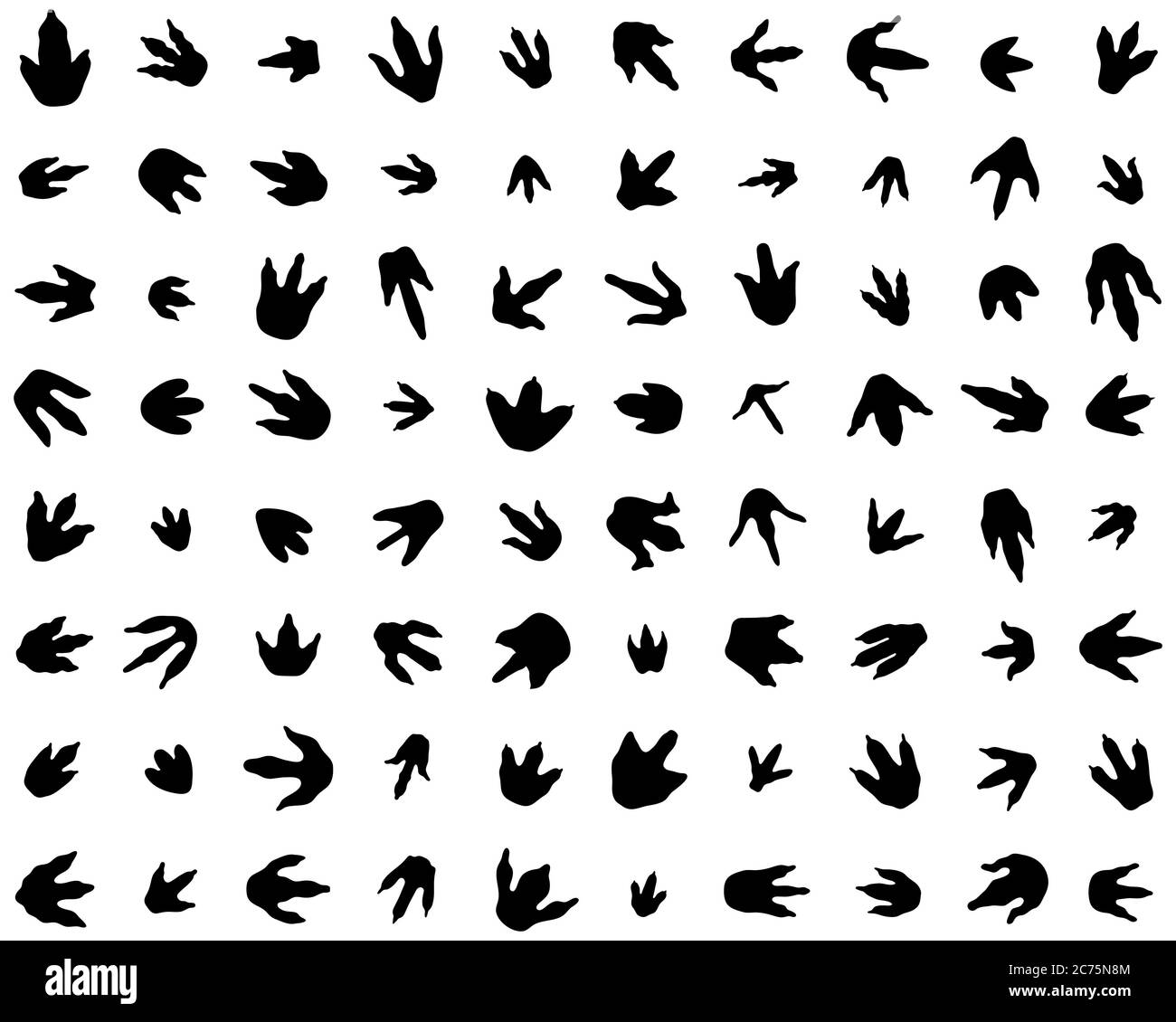 Motif sans couture avec empreintes de dinosaures sur fond blanc Banque D'Images