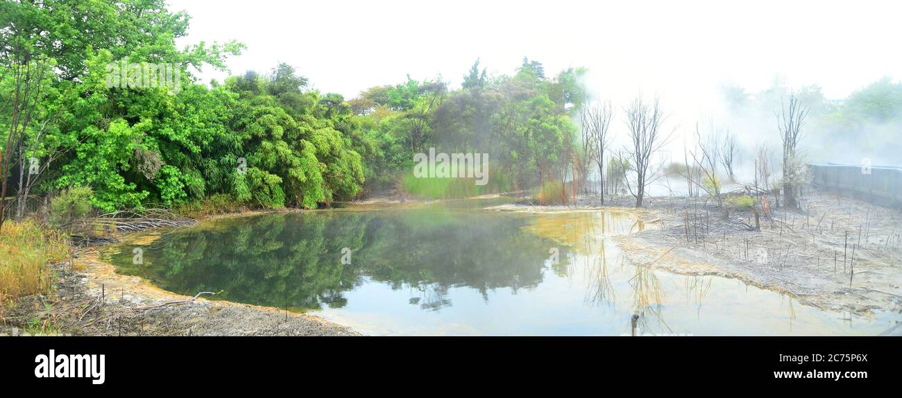 Rotorua, une ville située sur son lac de nom sur l'île du Nord de la Nouvelle-Zélande, est réputée pour son activité géothermique et sa culture maorie. Banque D'Images