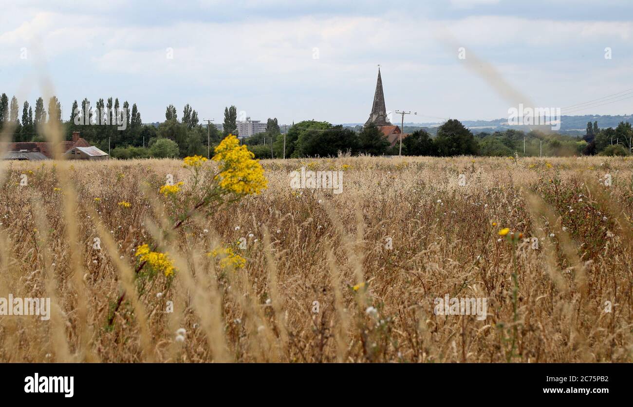 La terre autour de Sevington dans Ashford, Kent, comme on entend le ministère des Transports est en train d'acheter un site de 27 acres près d'Ashford, alors qu'il se prépare à quitter l'UE à la fin de l'année. Date de la photo: Mardi 14 juillet 2020. Le gouvernement a été critiqué pour son manque de communication avec les résidents, ce que le député local a déclaré en raison de son manque de communication pour trouver un endroit où se déversoir un camion. Voir l'histoire de l'AP POLITICS Brexit Ashford. Le crédit photo devrait se lire: Gareth Fuller/PA Wire Banque D'Images