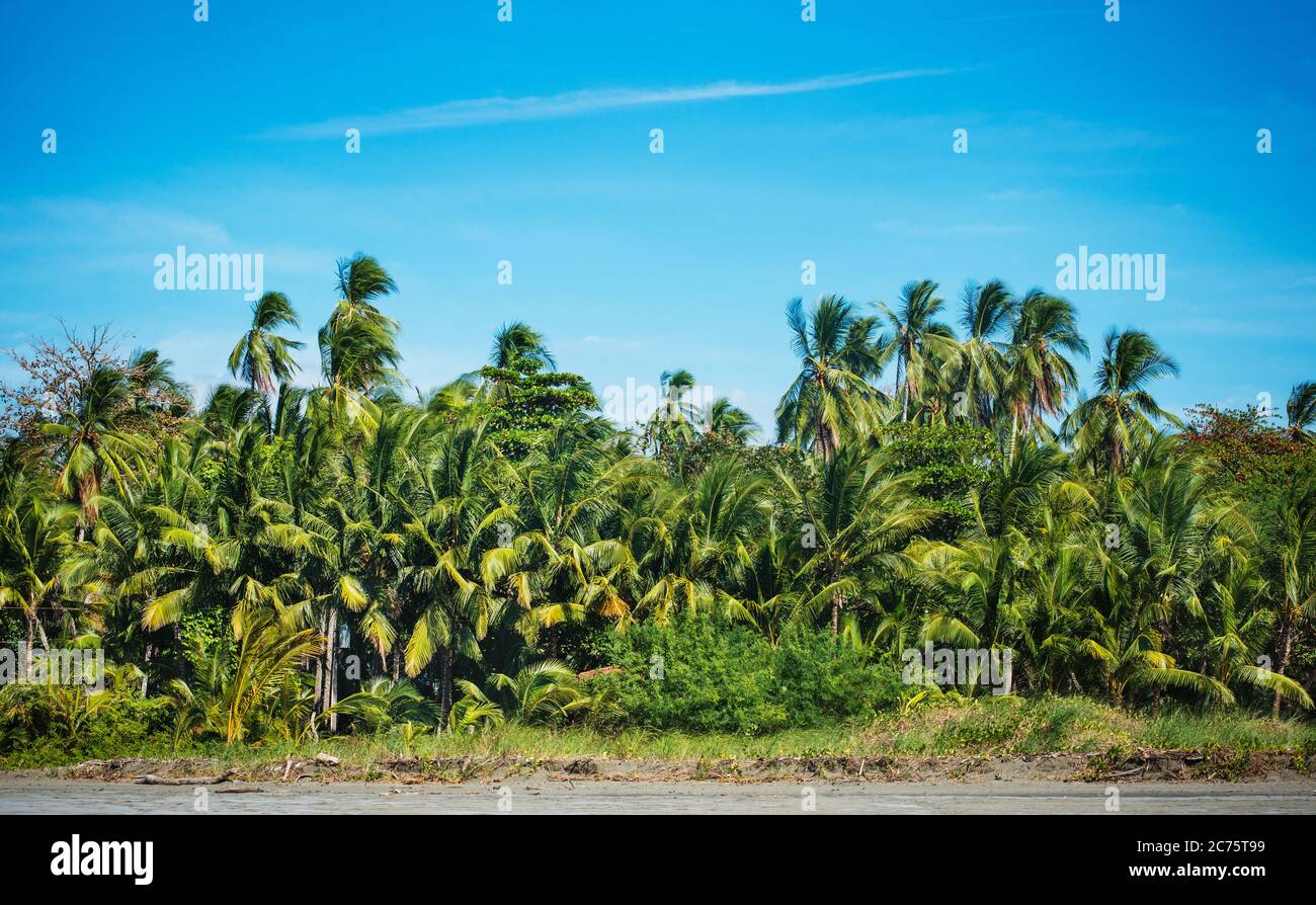 Plages de Santa Catalina, Panama, Amérique centrale Banque D'Images