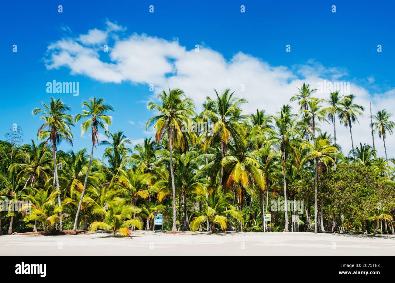 Plages de l'île de Coiba, santa catalina, Panama, Amérique centrale Banque D'Images