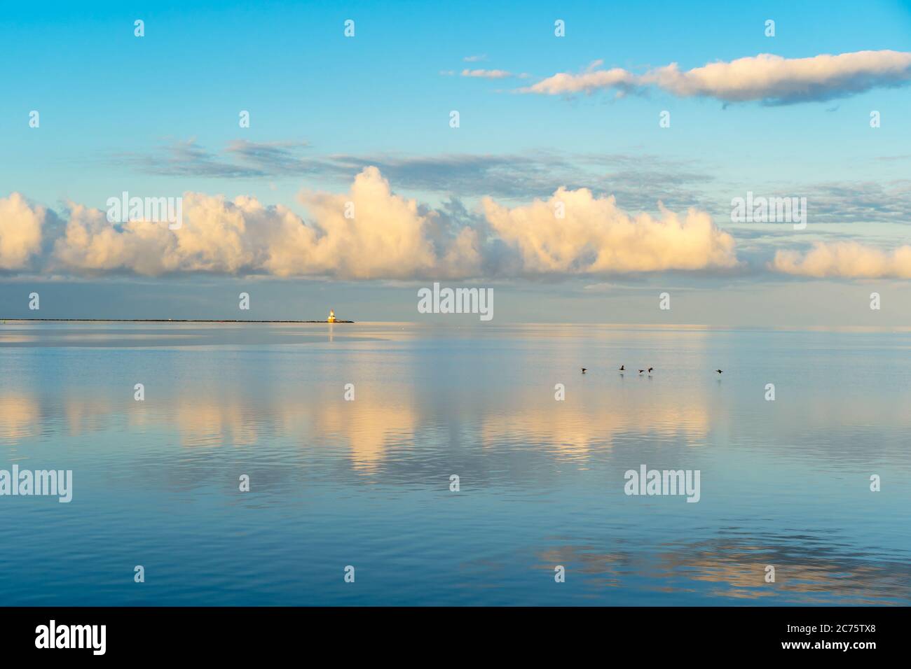 Les nuages dorés du matin se reflètent dans les eaux calmes du port de Summerside, à l'Île-du-Prince-Édouard, au Canada. Phare d'Indian point à l'horizon. Banque D'Images
