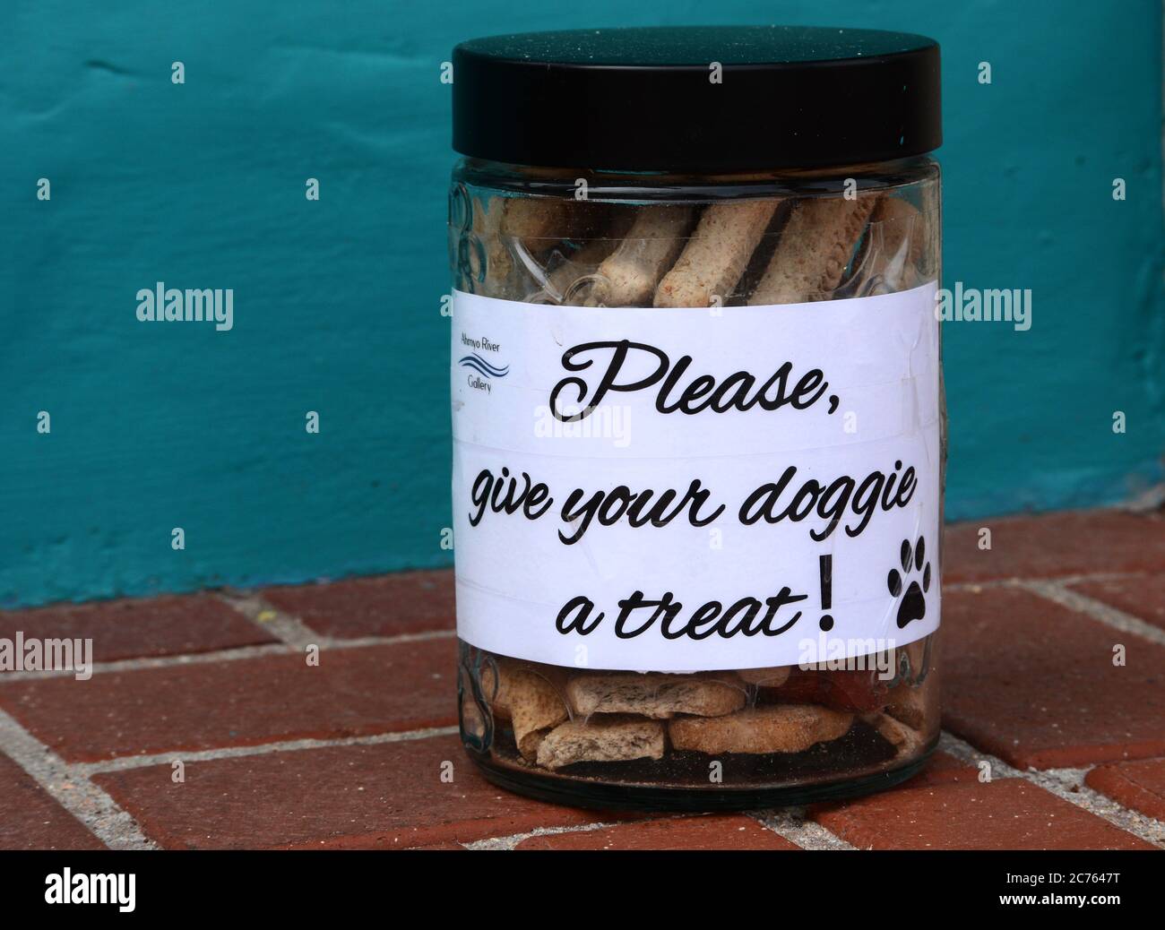 Un pot de friandises pour chiens placé à l'extérieur d'un magasin de vente au détail acceptant les chiens dans le centre-ville de Santa Fe, Nouveau-Mexique, États-Unis Banque D'Images