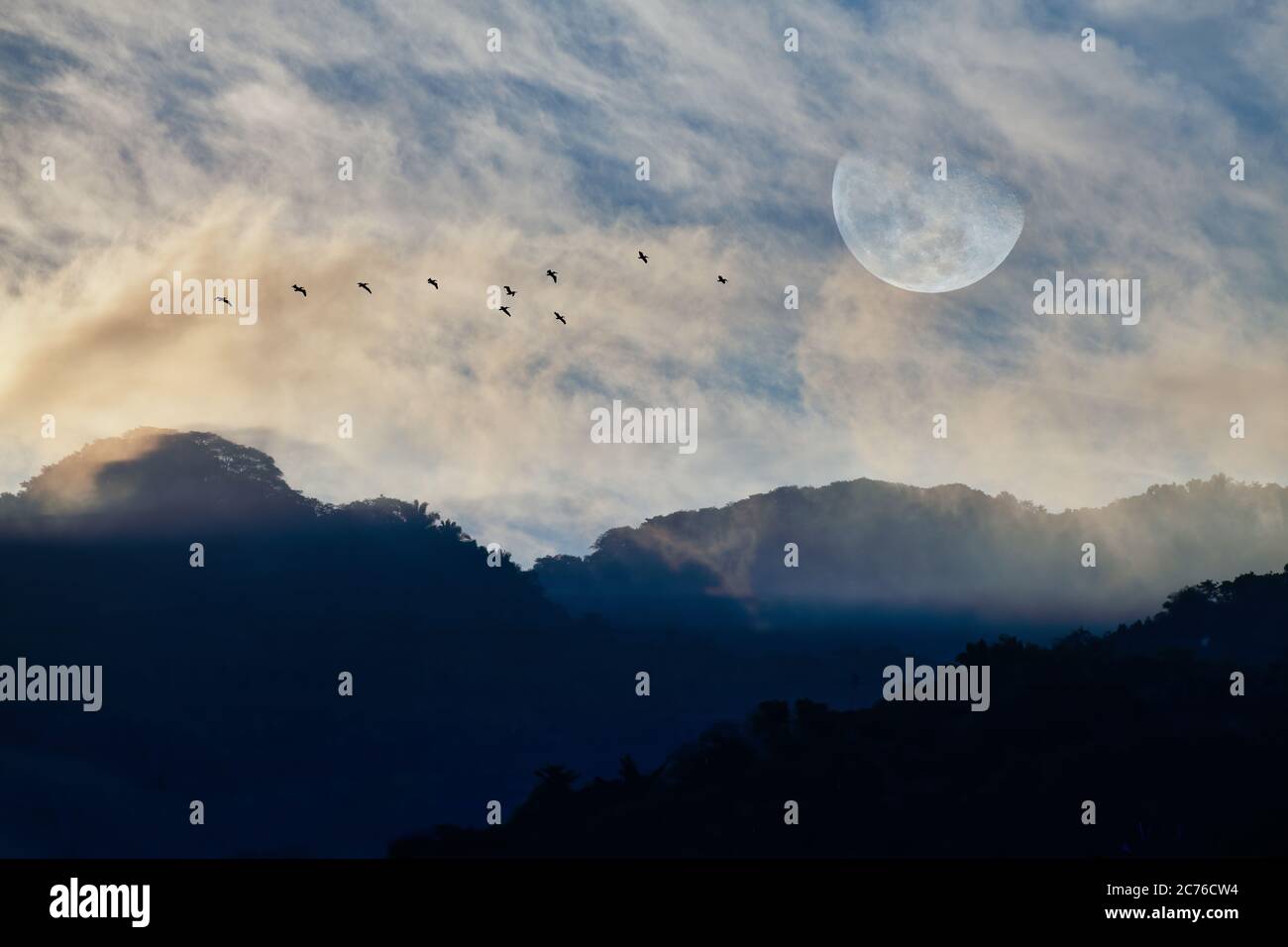 Un paysage de jungle avec une Flock of Birds volant par la Lune en levant dans le ciel Banque D'Images