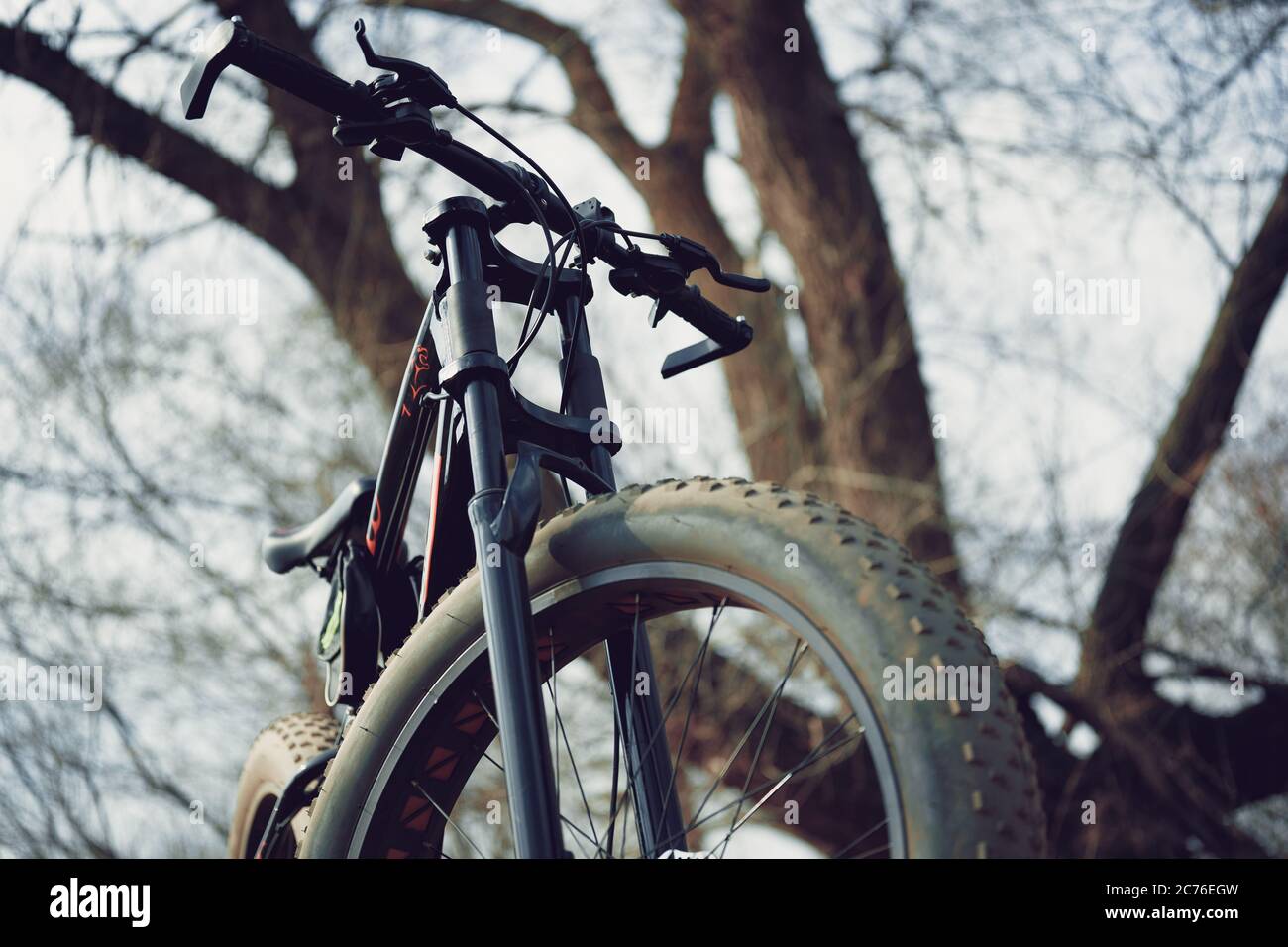 Gros plan de vélo avec grandes roues en campagne. Le vélo de montagne se  trouve sur le sol par temps ensoleillé Photo Stock - Alamy