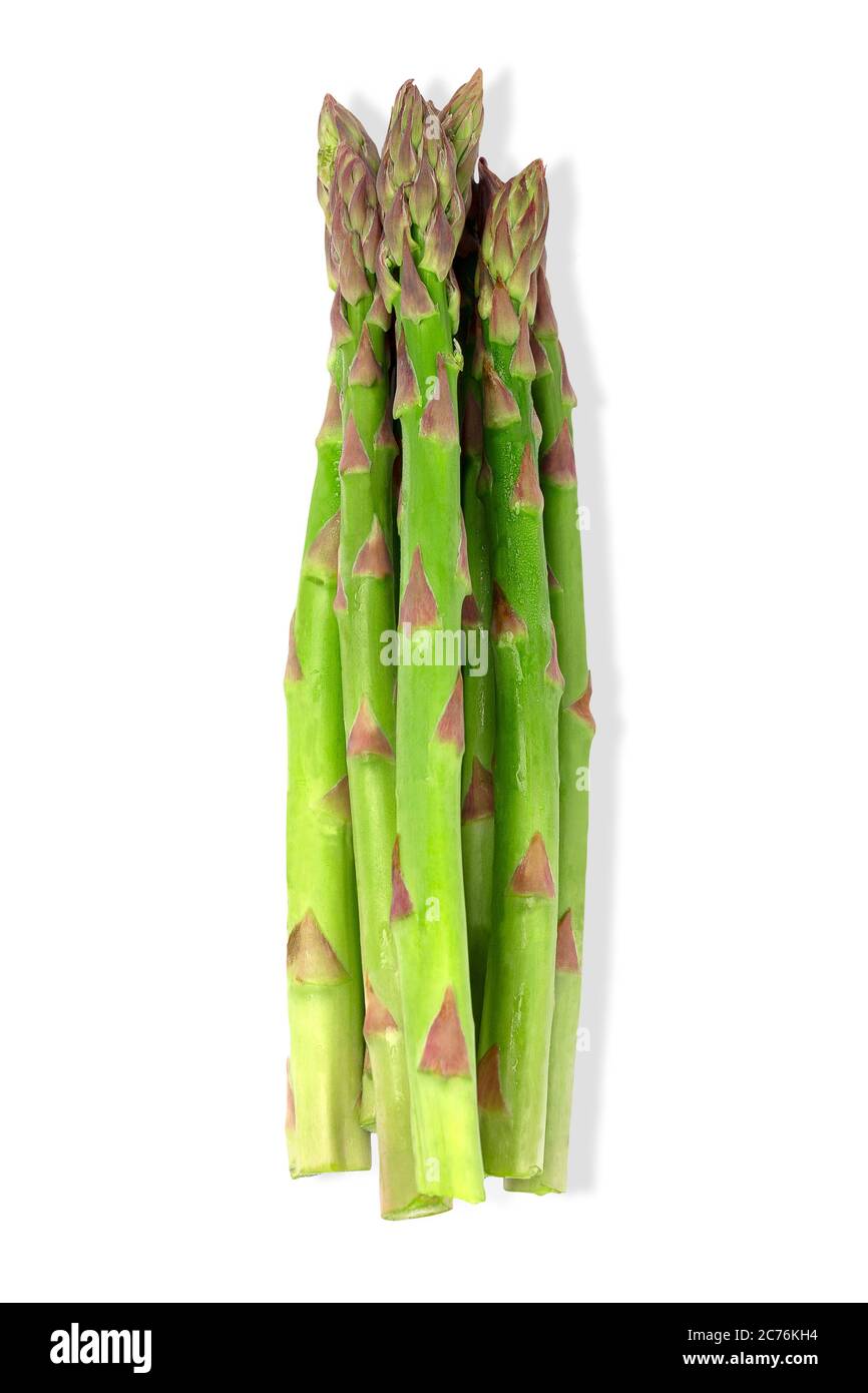 Les asperges vertes fraîches bunch isolated on white Banque D'Images