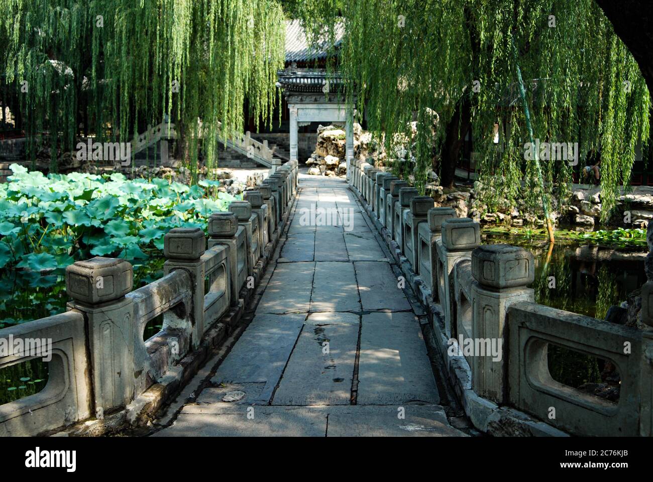 Vue sur le pont en pierre de style chinois sur le lac avec l'arche chinoise à la fin, les feuilles d'arbre et la plante de lotus en arrière-plan, jardin chinois. Banque D'Images