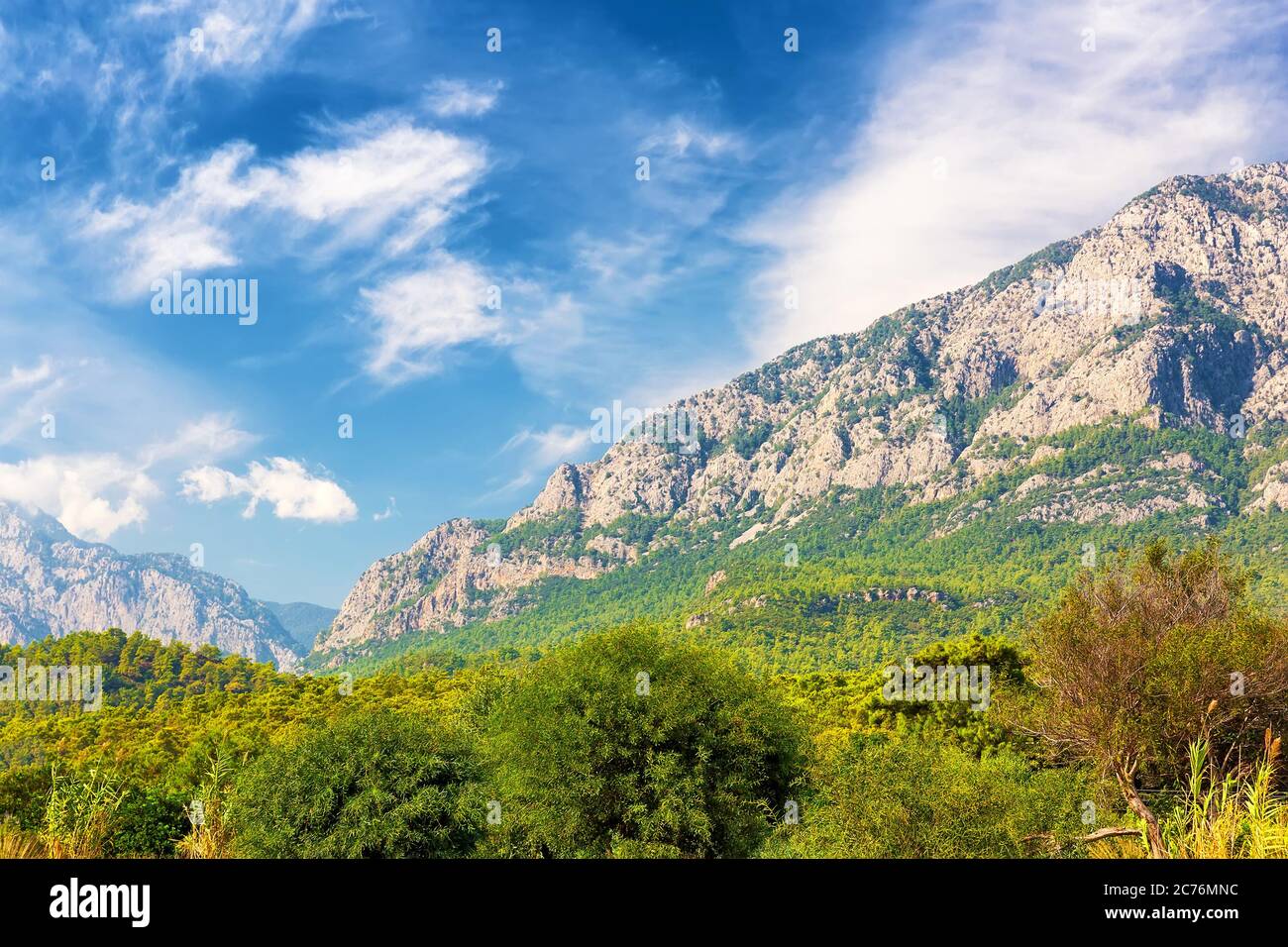 Magnifique paysage de forêt de montagne. Kemer, Turquie Banque D'Images