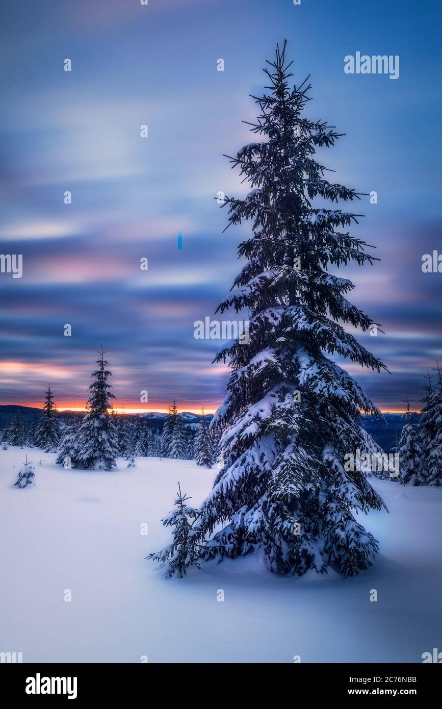 Longue exposition scène d'un beau coucher de soleil froid pendant l'hiver sur le dessus des montagnes près de Marisel, Cluj County, Transylvania région, Roumanie Banque D'Images