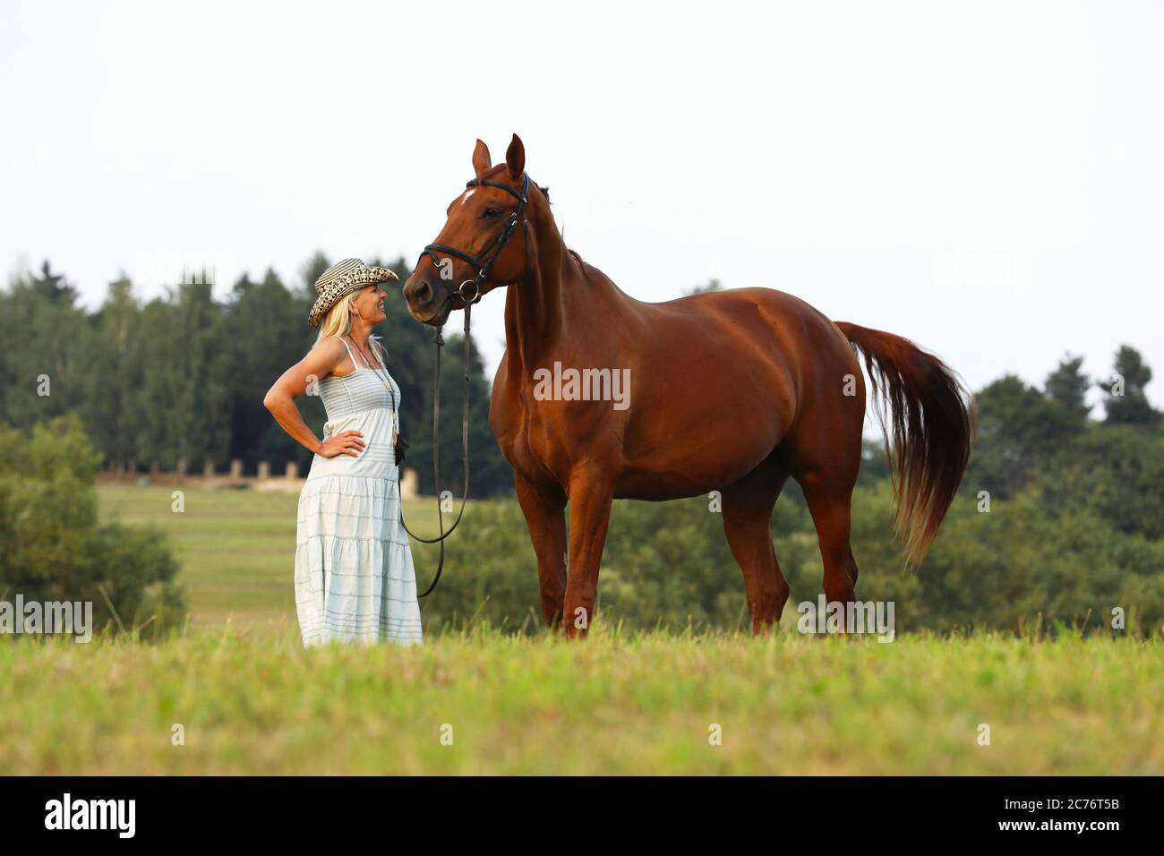 Femme avec cheval sur paysage d'été. Jolie propriétaire de cheval avec son animal de compagnie. Banque D'Images