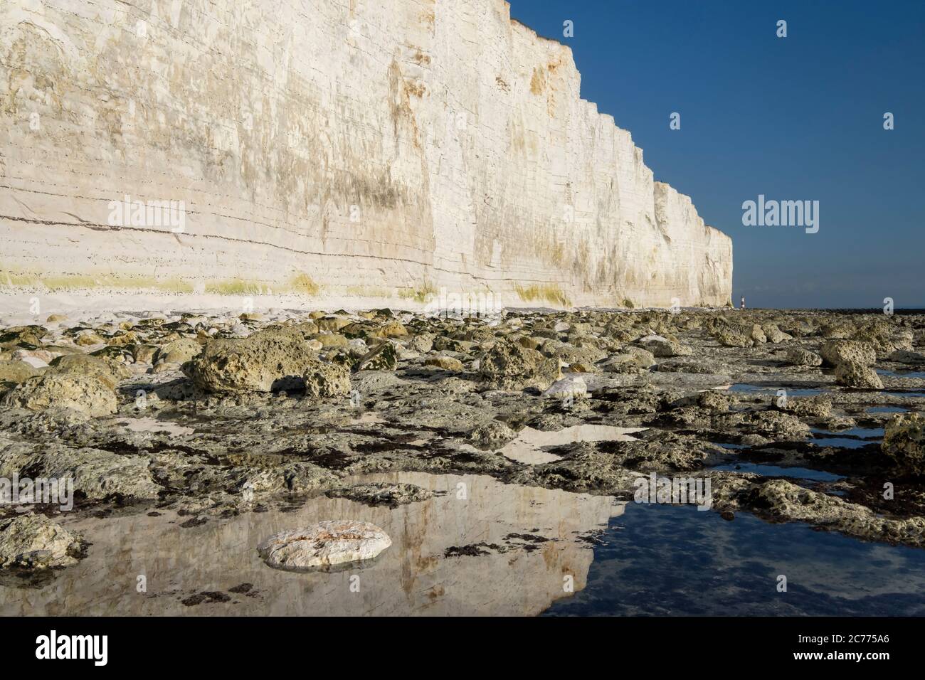 Beachy Head Lighthouse et Beachy Head White Chalk Cliffs, Beachy Head, près d'Eastbourne, South Downs National Park, East Sussex, Angleterre, Royaume-Uni Banque D'Images