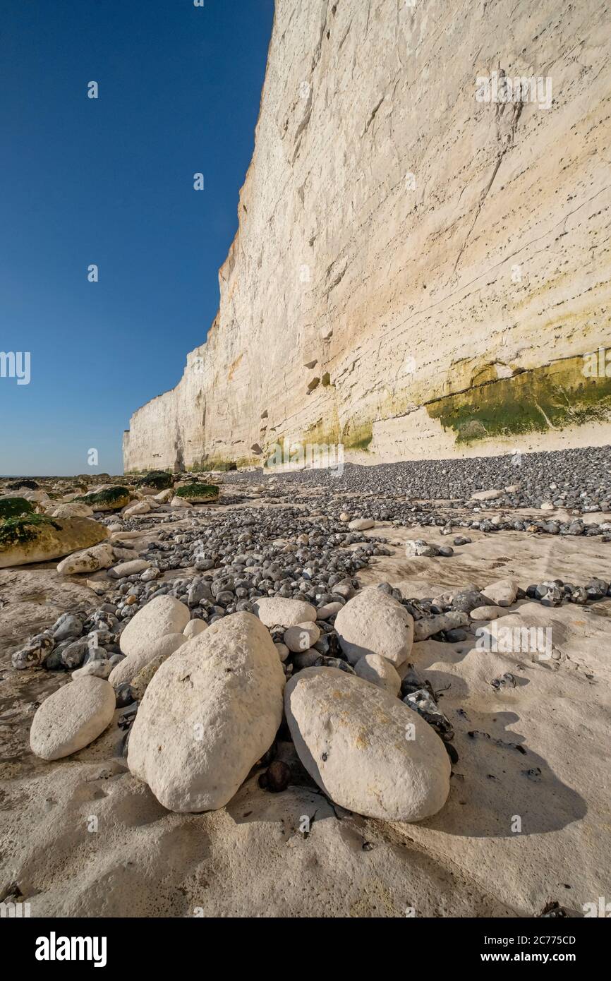 Chalk Boulders sous les falaises de Beachy Head, près d'Eastbourne, parc national de South Downs, East Sussex, Angleterre, Royaume-Uni Banque D'Images