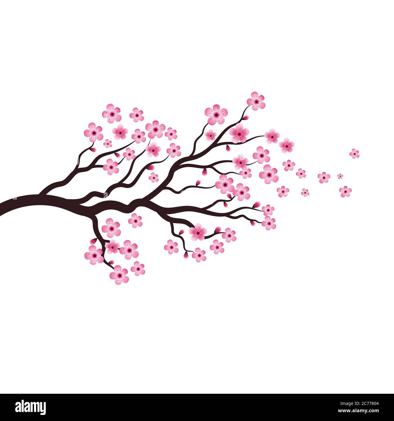 Sakura Beauté fleur Vector Icon illustration design Illustration de Vecteur